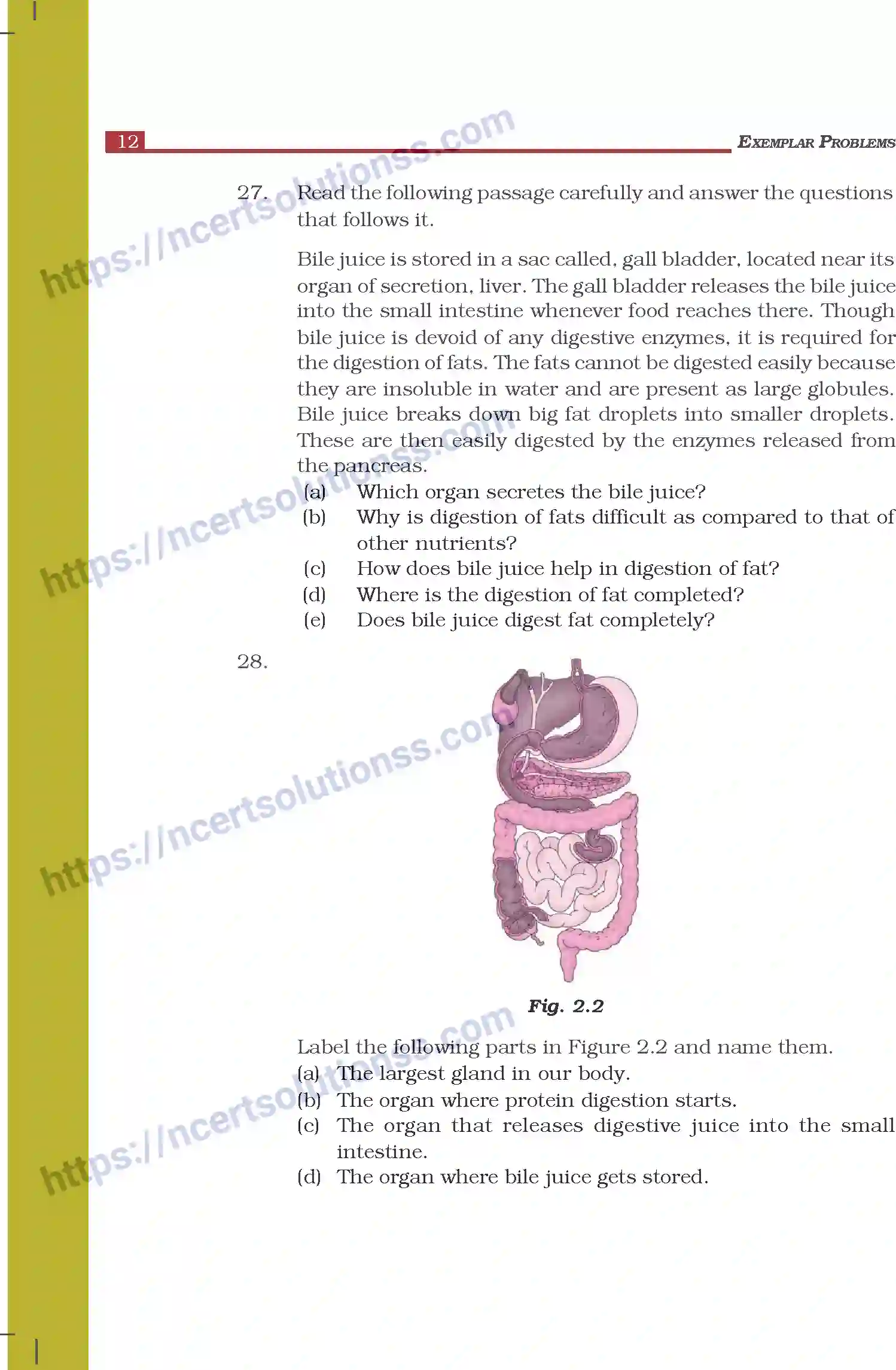 NCERT-Exemplar-Questions-Class-7-Science--Nutrition-in-Animals-263-page-7