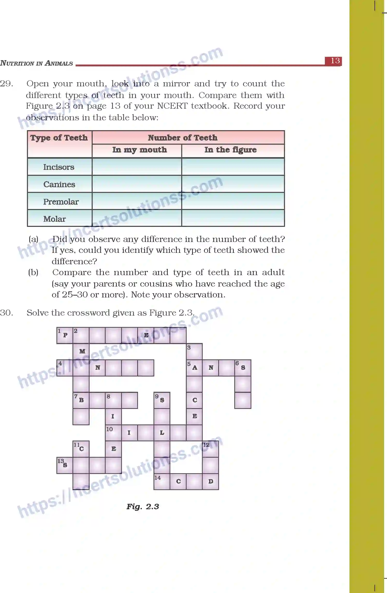 NCERT-Exemplar-Questions-Class-7-Science--Nutrition-in-Animals-263-page-8