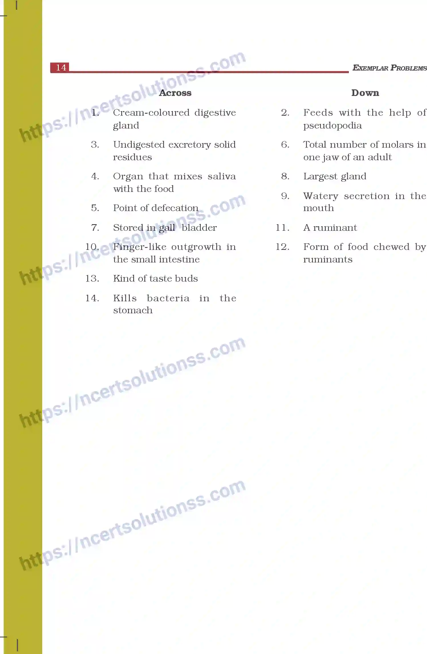 NCERT-Exemplar-Questions-Class-7-Science--Nutrition-in-Animals-263-page-9