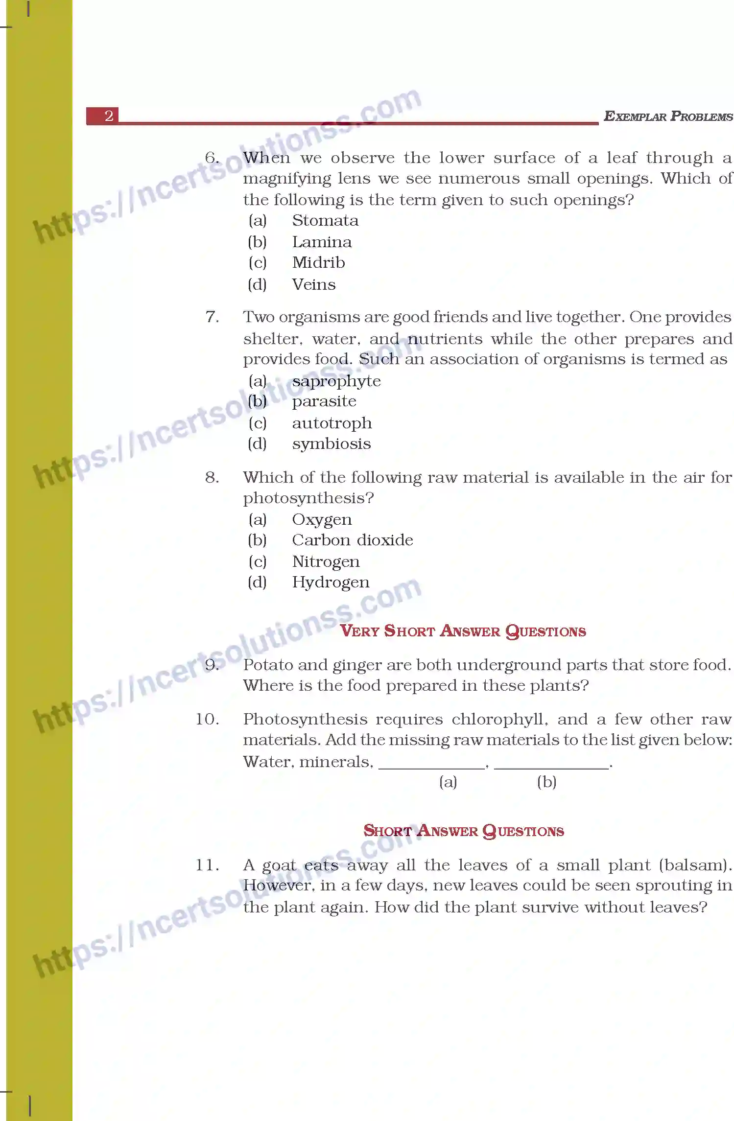 NCERT-Exemplar-Questions-Class-7-Science--Nutrition-in-Plants-262-page-2