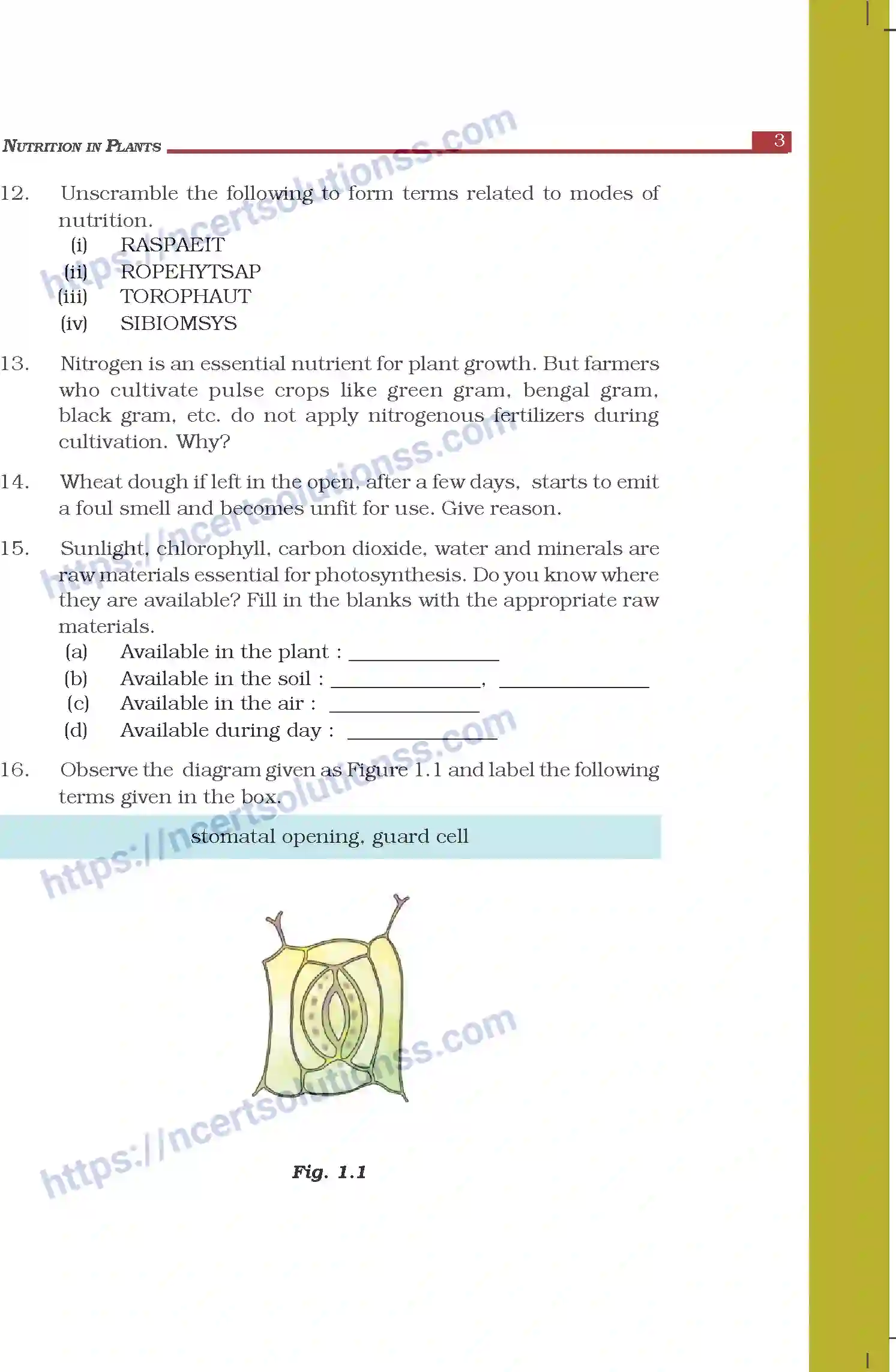 NCERT-Exemplar-Questions-Class-7-Science--Nutrition-in-Plants-262-page-3