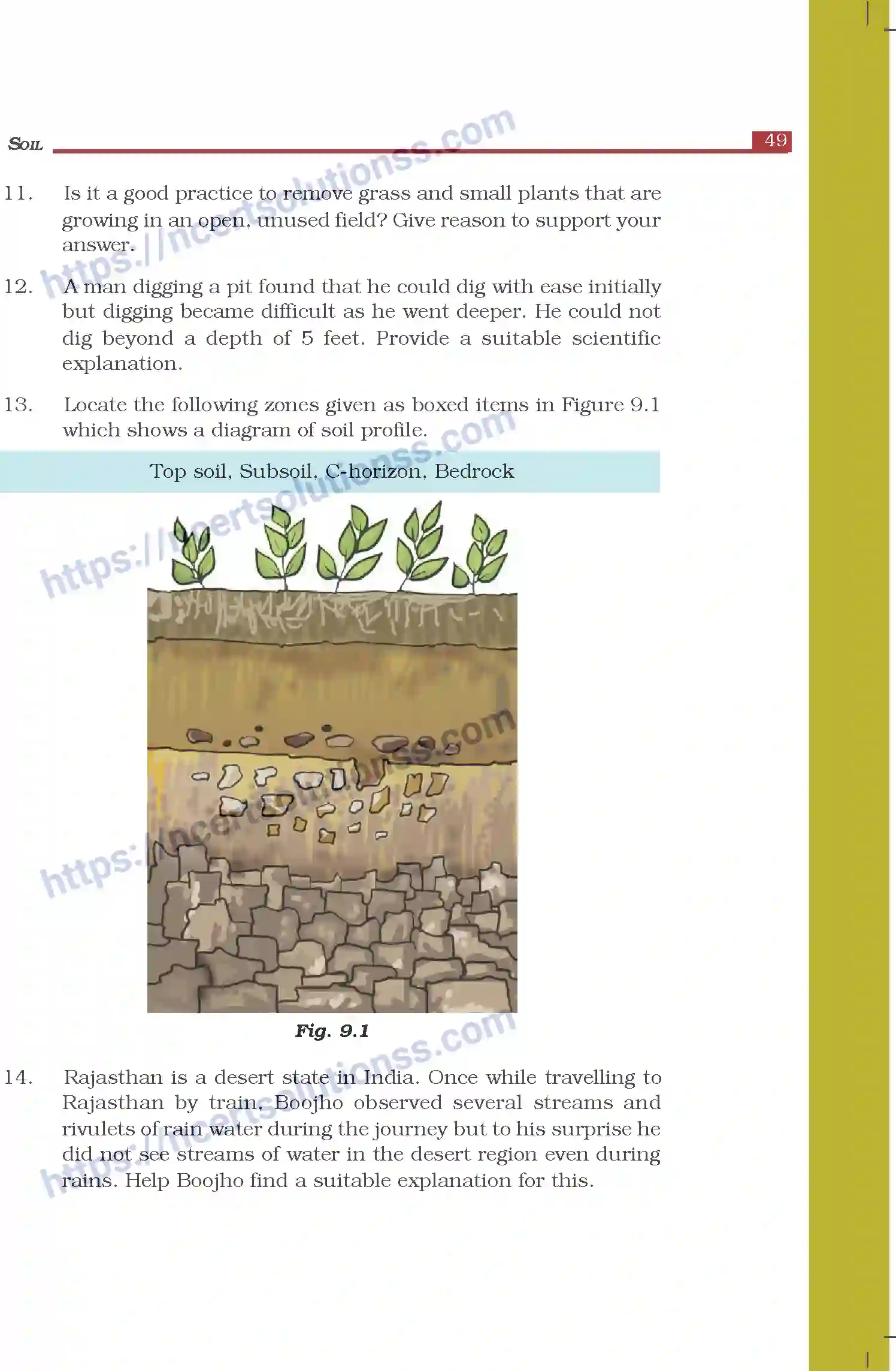 NCERT-Exemplar-Questions-Class-7-Science--Soil-270-page-3