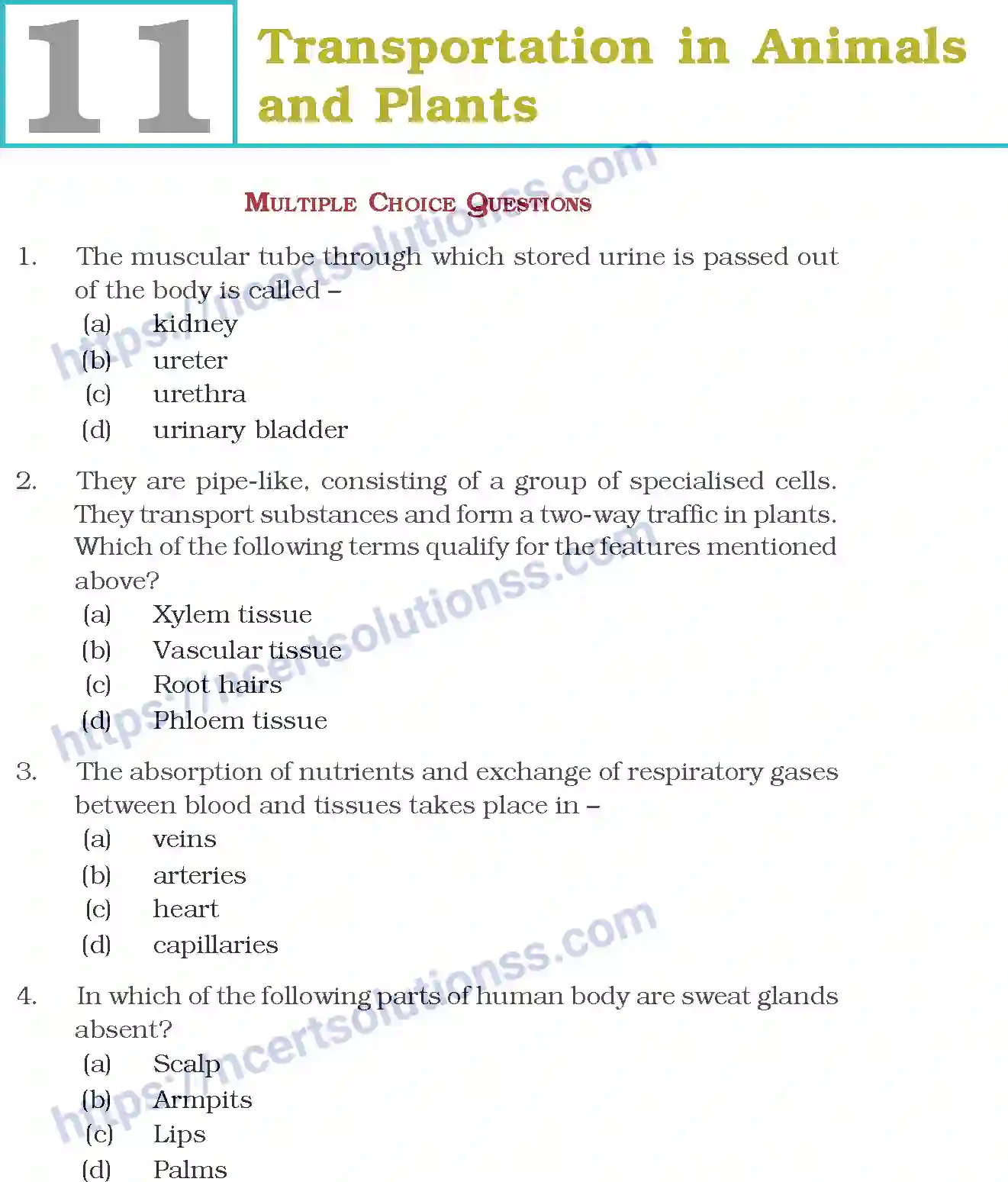 NCERT-Exemplar-Questions-Class-7-Science--Transportation-in-Animals-and-Plants-272-page-1
