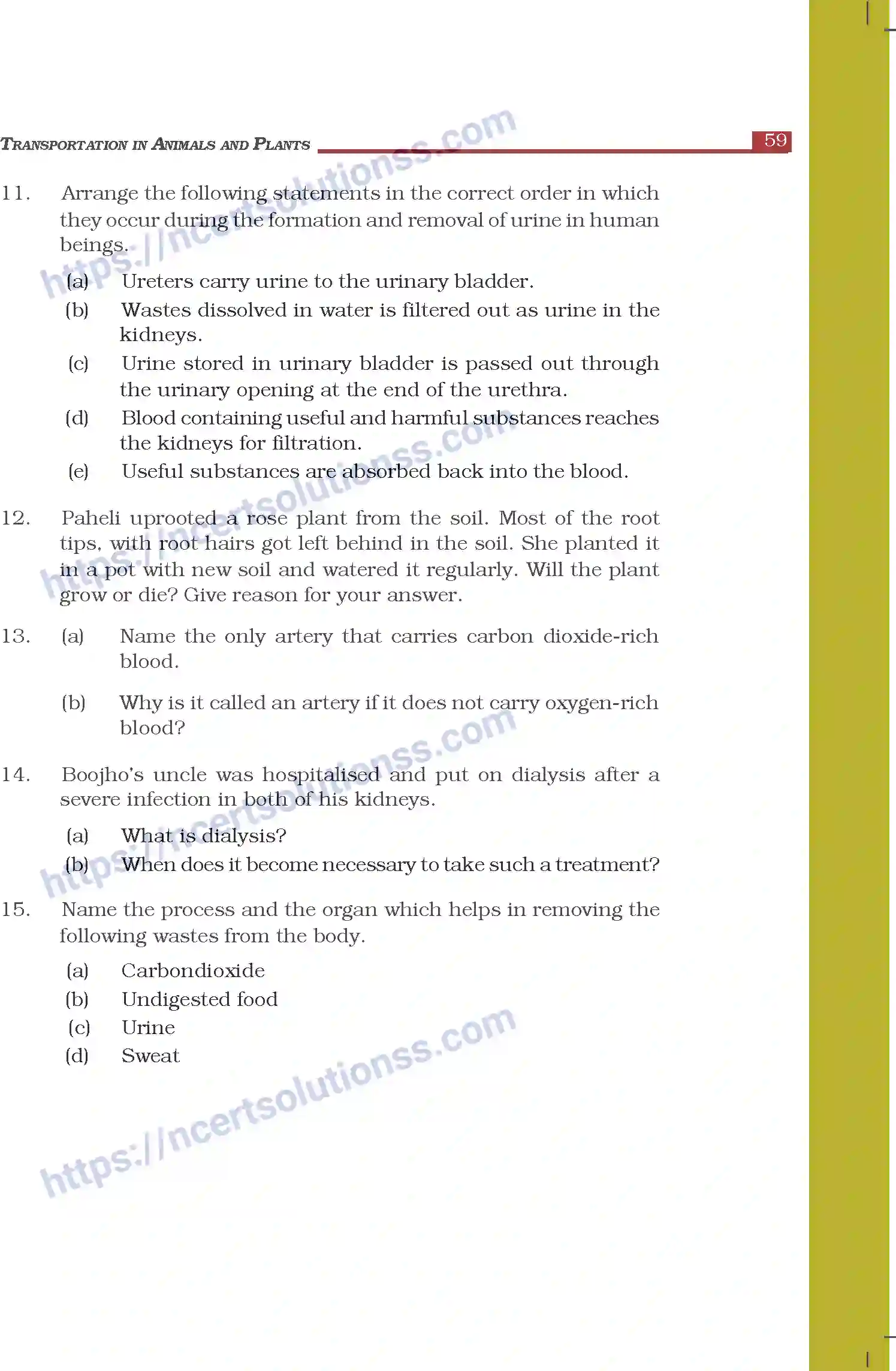NCERT-Exemplar-Questions-Class-7-Science--Transportation-in-Animals-and-Plants-272-page-3