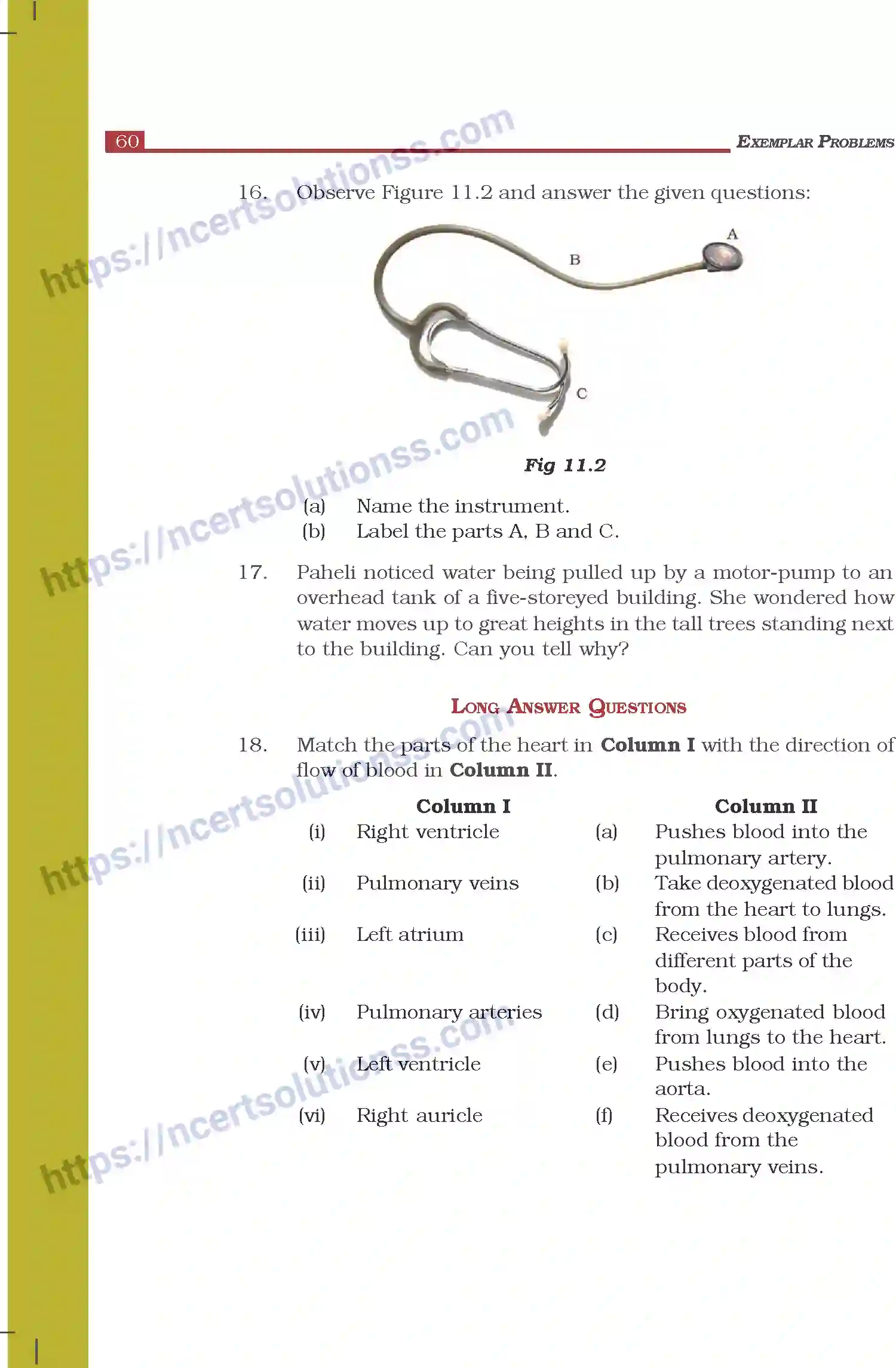 NCERT-Exemplar-Questions-Class-7-Science--Transportation-in-Animals-and-Plants-272-page-4