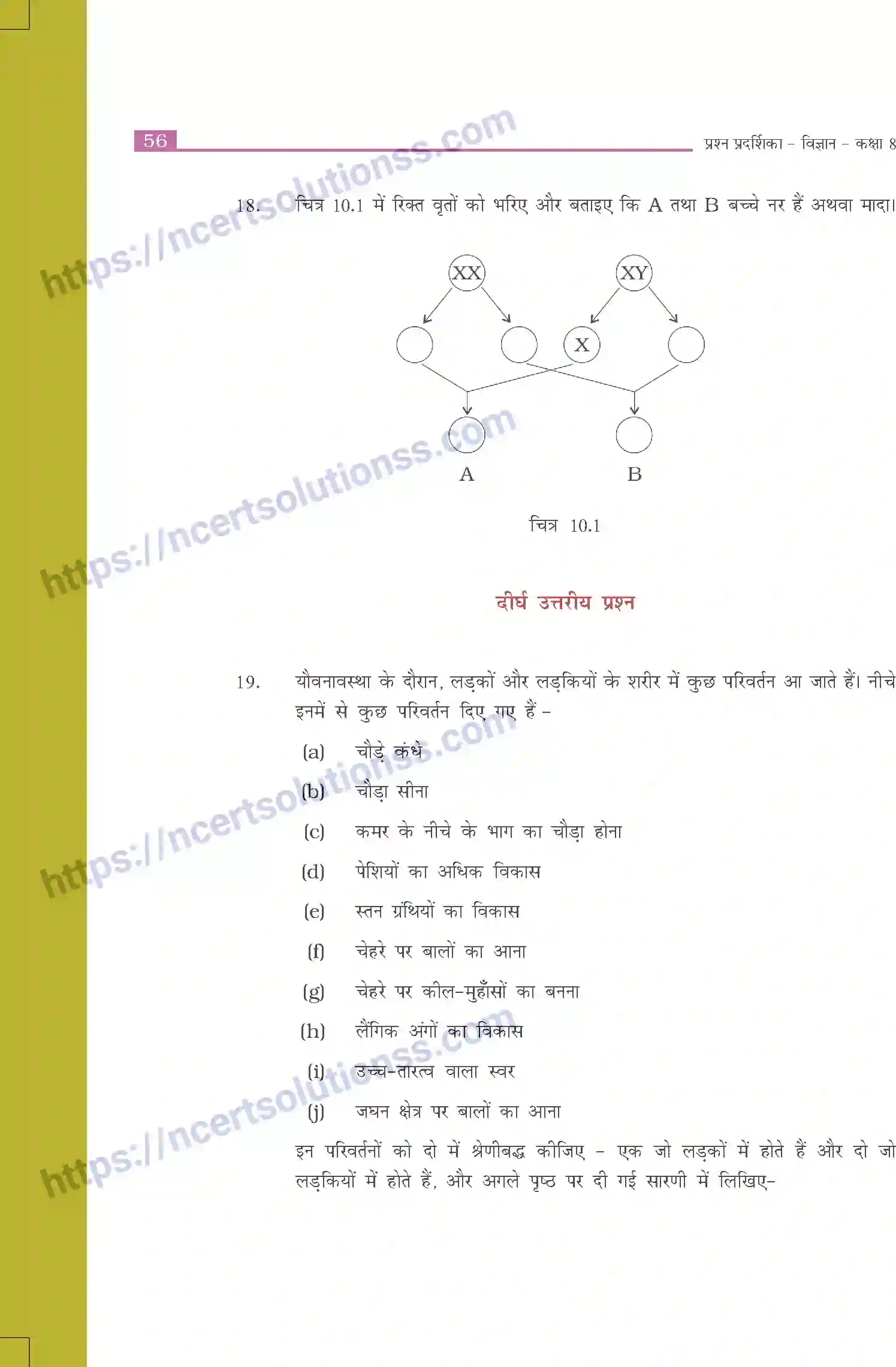 NCERT-Exemplar-Questions-Class-8-Science--किशोरावस्था-की-ओर-510-page-4