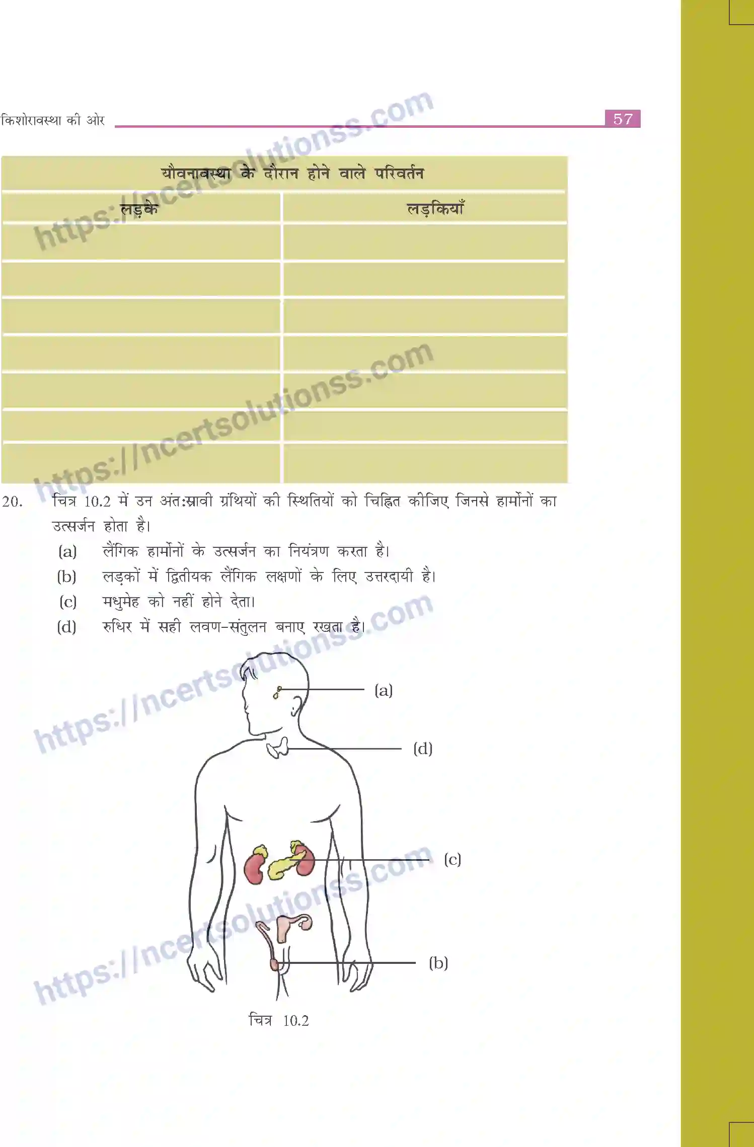 NCERT-Exemplar-Questions-Class-8-Science--किशोरावस्था-की-ओर-510-page-5