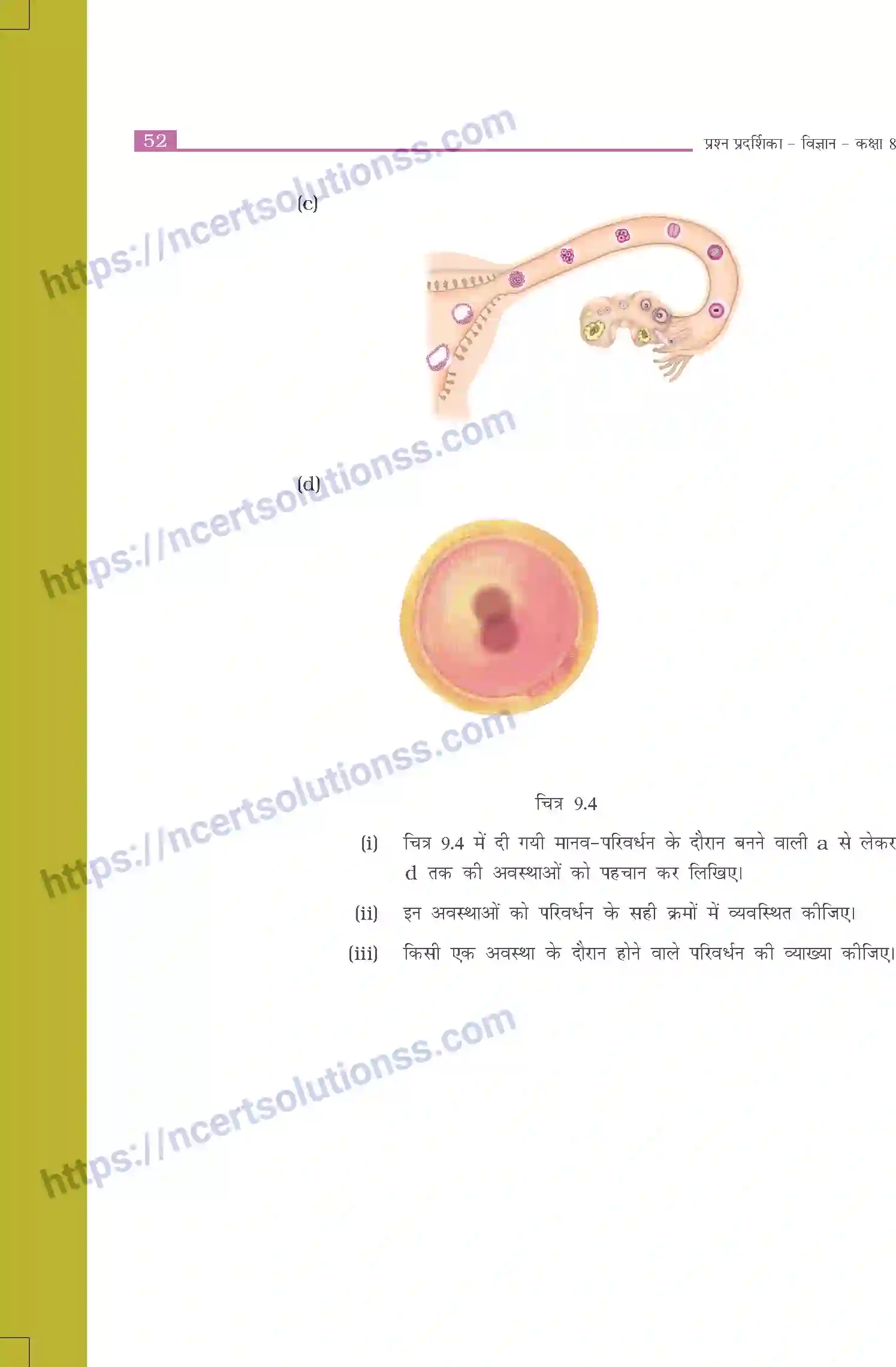 NCERT-Exemplar-Questions-Class-8-Science--प्राणियों-में-जनन-509-page-6