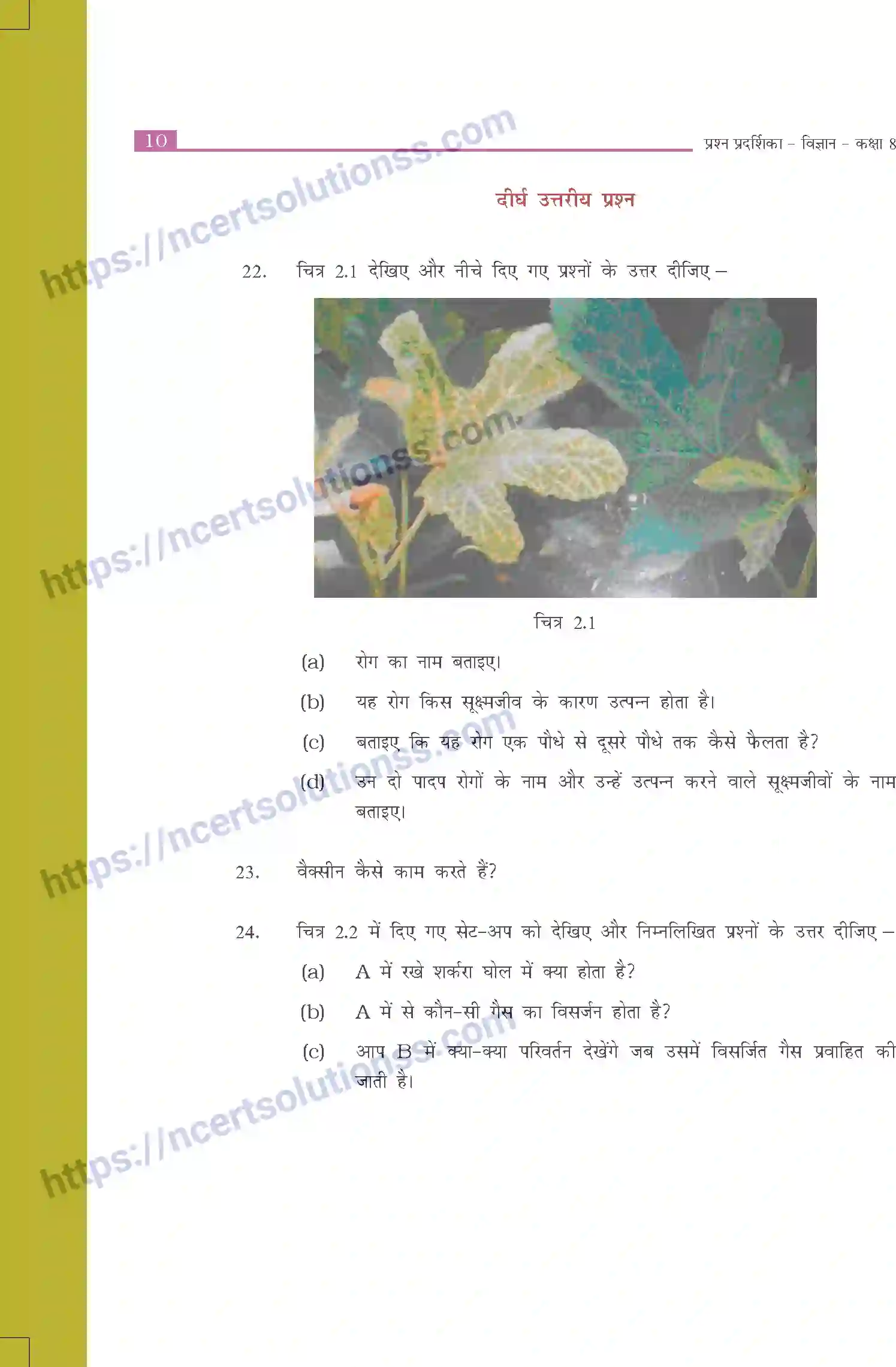 NCERT-Exemplar-Questions-Class-8-Science--सूक्ष्मजीव-मित्र-और-शत्रु-502-page-4