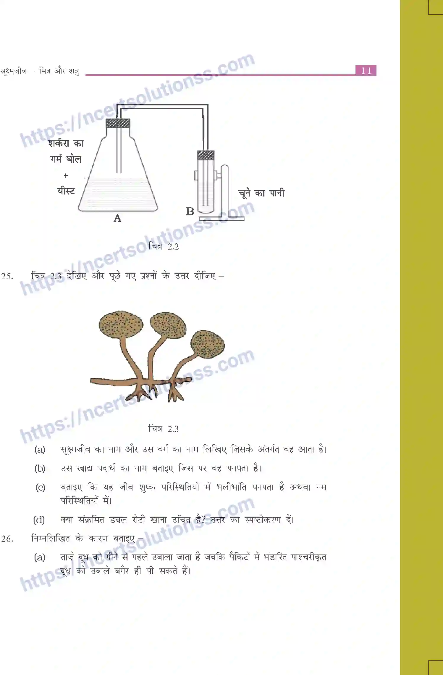 NCERT-Exemplar-Questions-Class-8-Science--सूक्ष्मजीव-मित्र-और-शत्रु-502-page-5