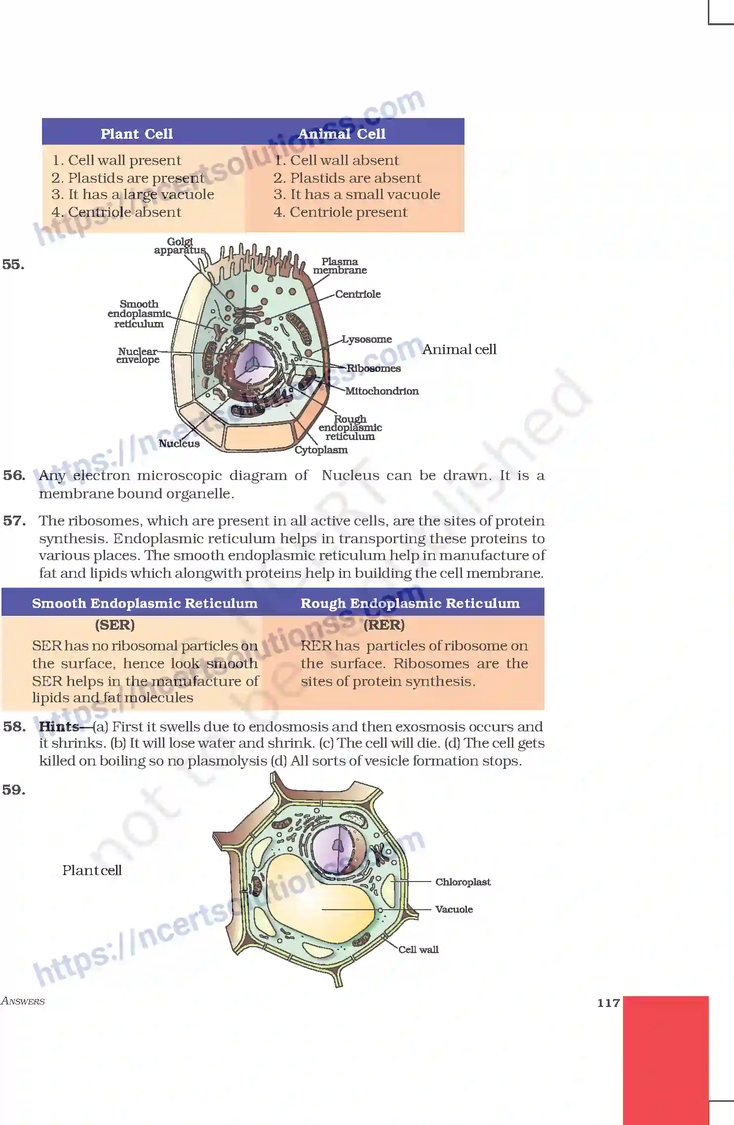 NCERT-Exemplar-Questions-Class-9-Science--Answers-215-page-25