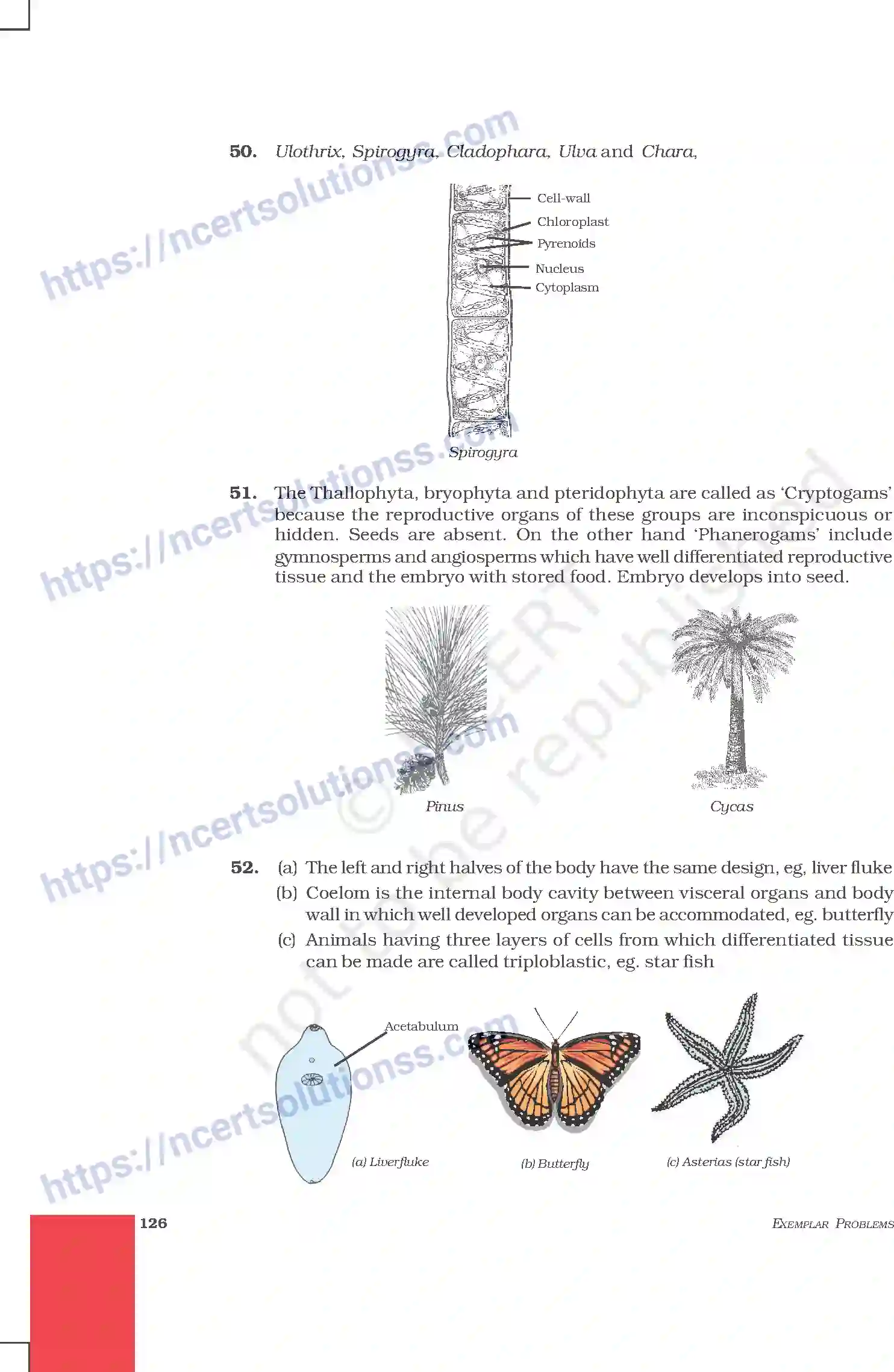 NCERT-Exemplar-Questions-Class-9-Science--Answers-215-page-34