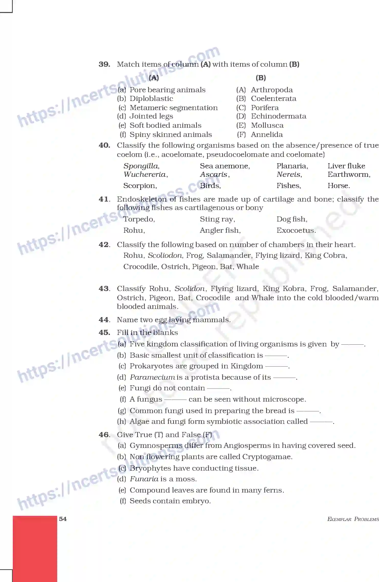 NCERT-Exemplar-Questions-Class-9-Science--Diversity-In-Living-Organism-204-page-7
