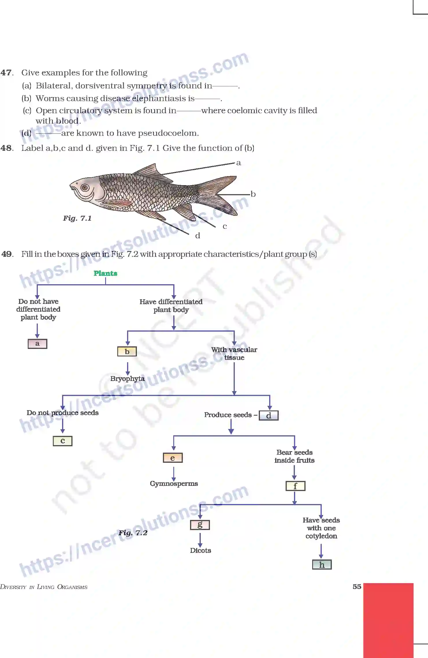 NCERT-Exemplar-Questions-Class-9-Science--Diversity-In-Living-Organism-204-page-8