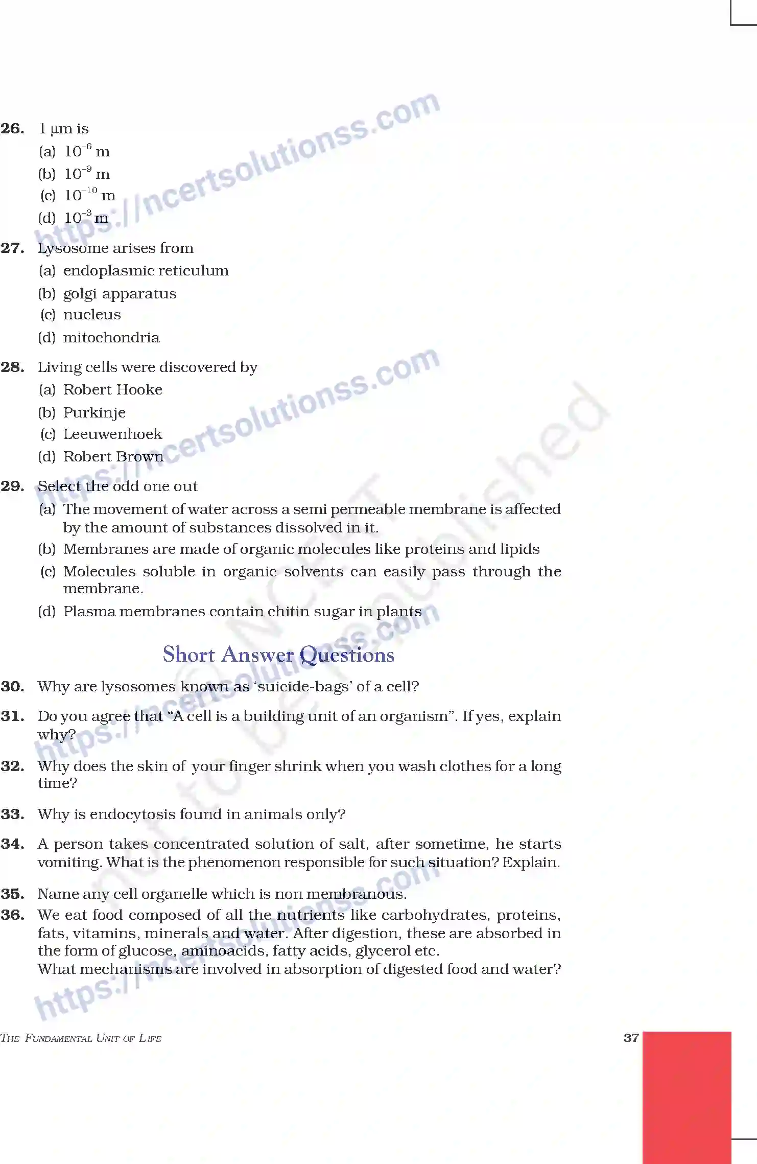 NCERT-Exemplar-Questions-Class-9-Science--The-Fundamental-Unit-Of-Life-202-page-5