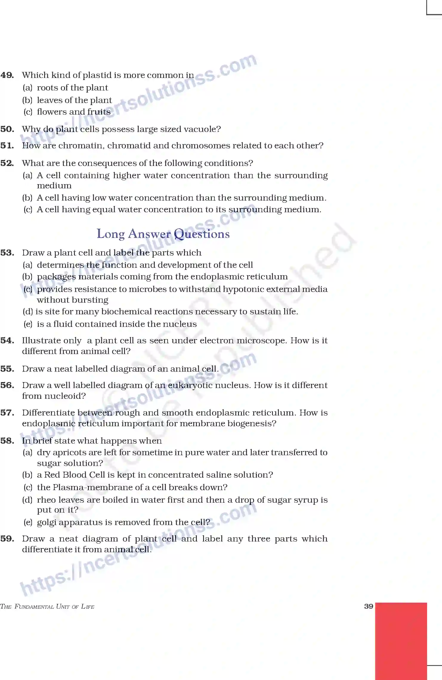 NCERT-Exemplar-Questions-Class-9-Science--The-Fundamental-Unit-Of-Life-202-page-7