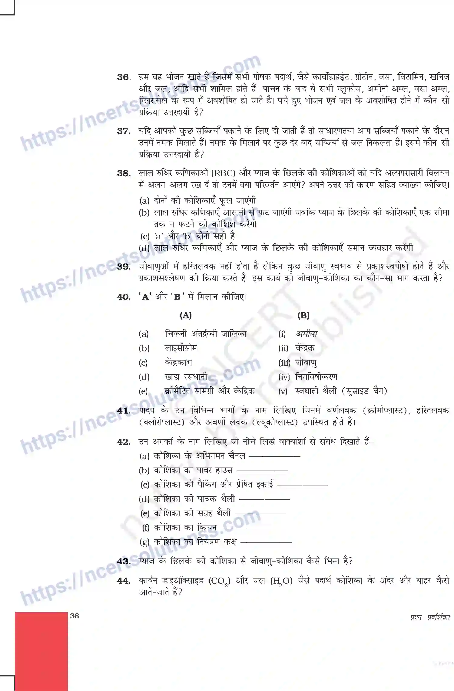 NCERT-Exemplar-Questions-Class-9-Science--जीवन-की-मौलिक-इकाई-476-page-6