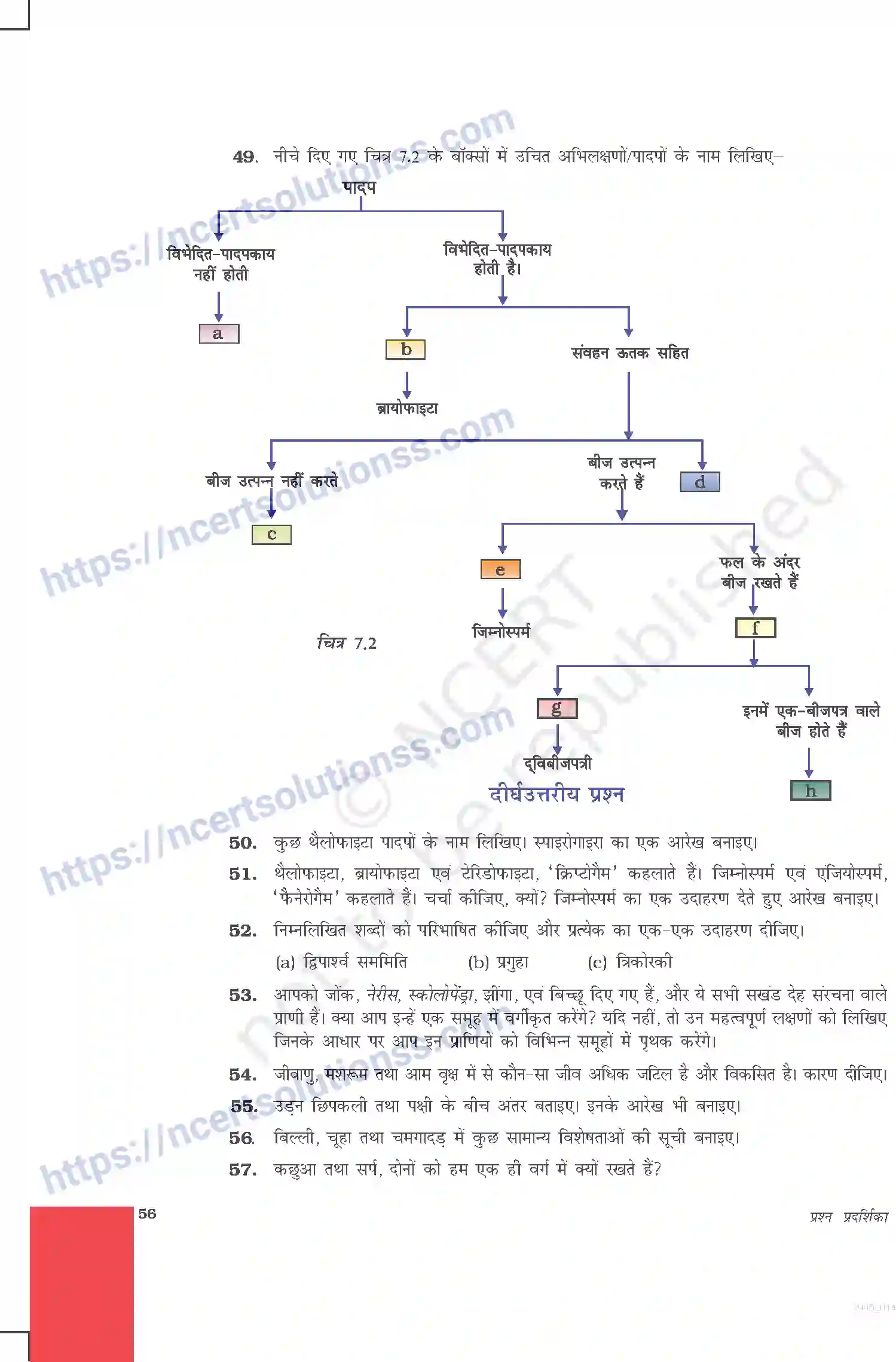 NCERT-Exemplar-Questions-Class-9-Science--जीवों-में-विविधता-478-page-9