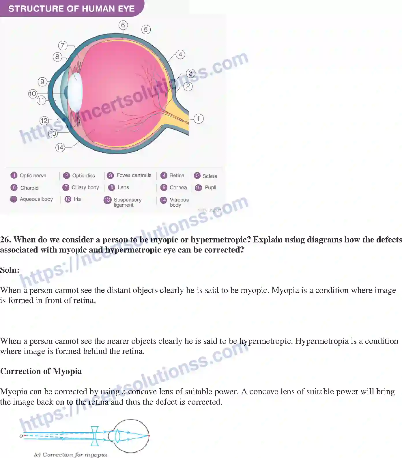 NCERT-Exemplar-Solution-Class-10-Science-The-Human-Eye-and-The-Colourful-World-150-page-10