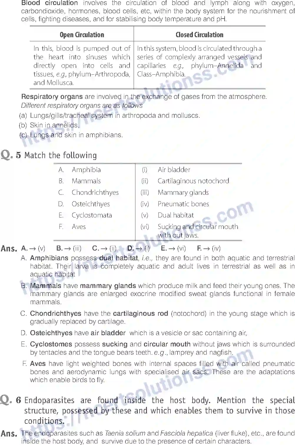 NCERT-Exemplar-Solution-Class-11-Biology-Animal-Kingdom-80-page-11