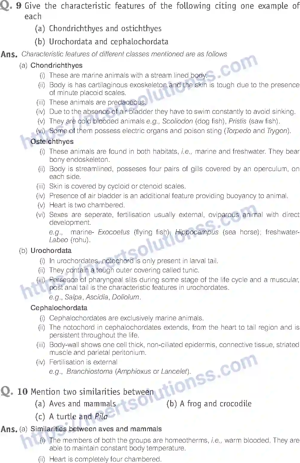 NCERT-Exemplar-Solution-Class-11-Biology-Animal-Kingdom-80-page-14