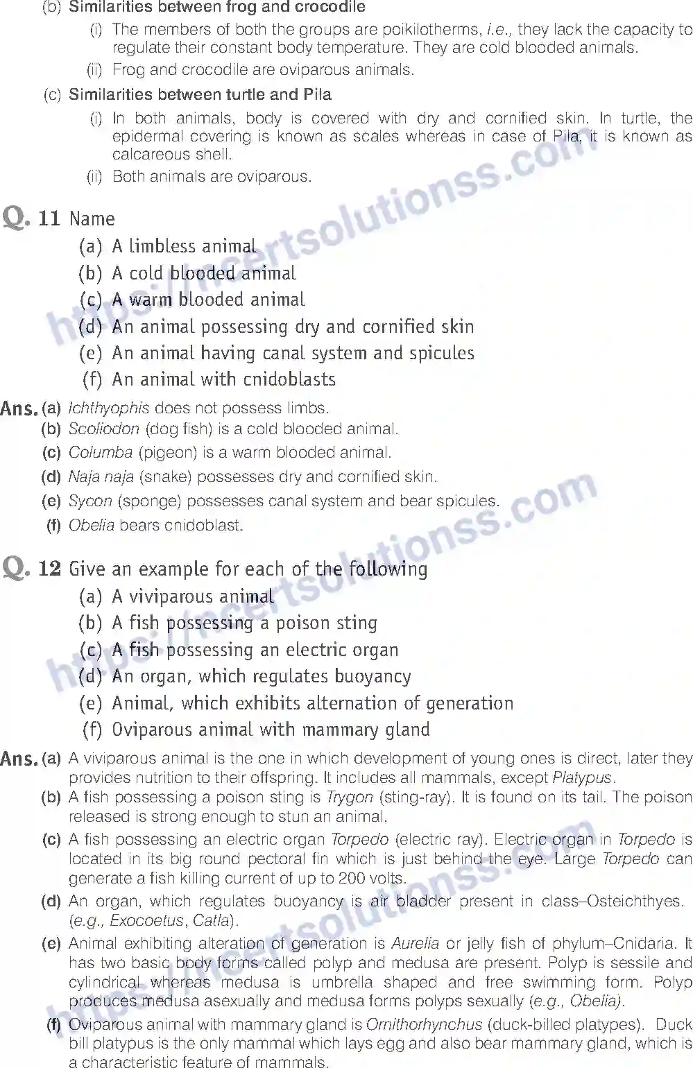 NCERT-Exemplar-Solution-Class-11-Biology-Animal-Kingdom-80-page-15