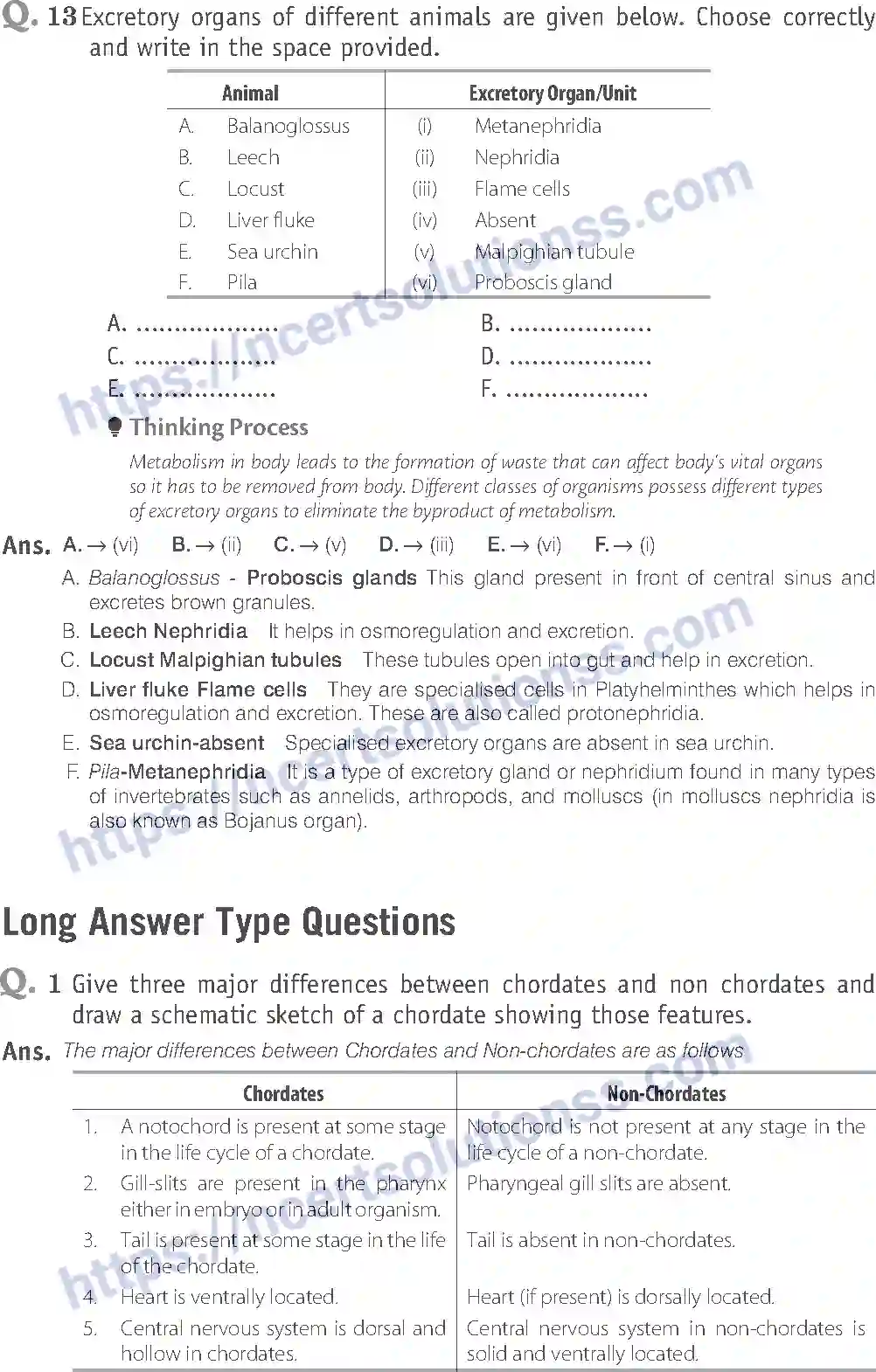 NCERT-Exemplar-Solution-Class-11-Biology-Animal-Kingdom-80-page-16
