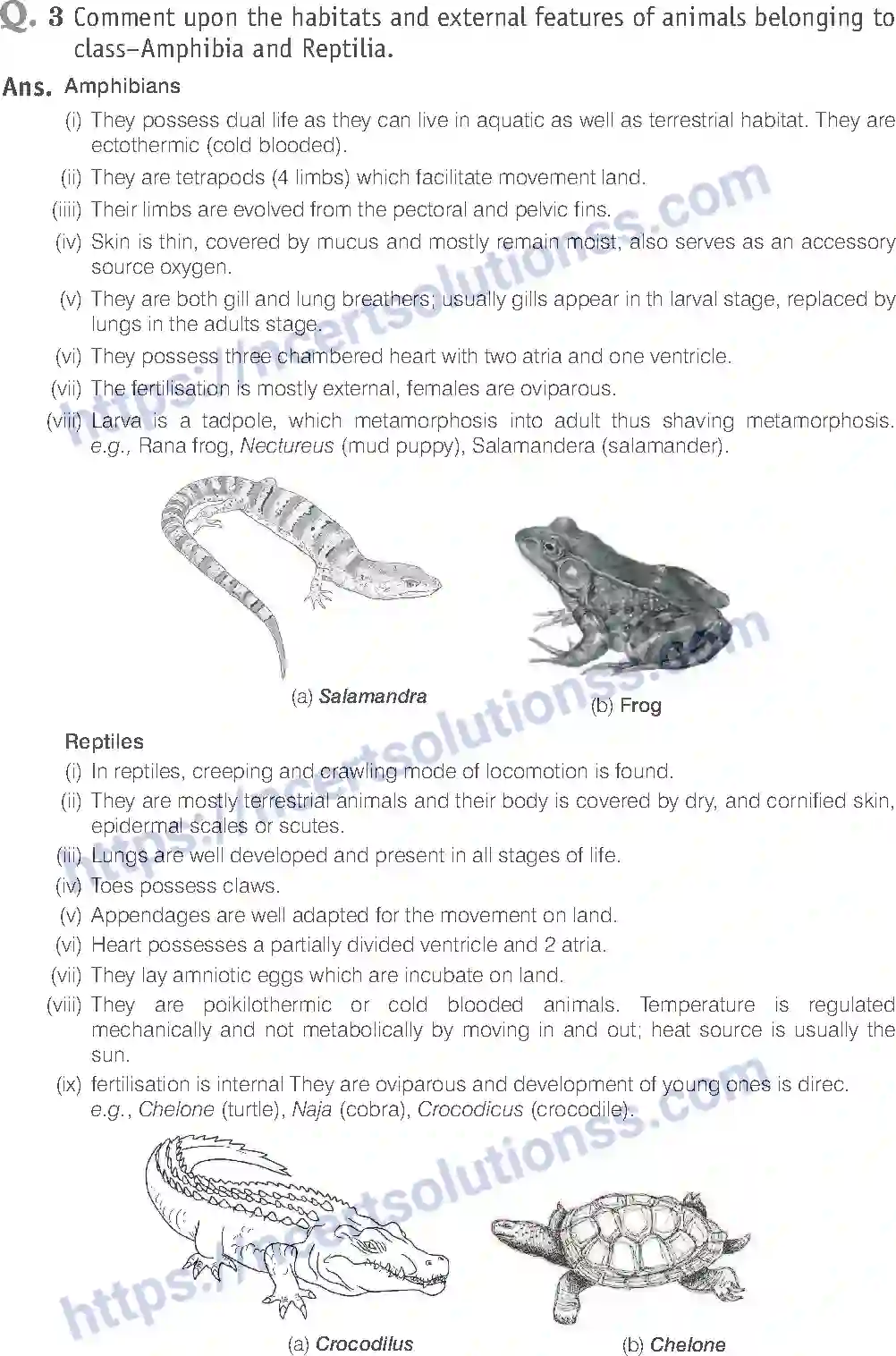 NCERT-Exemplar-Solution-Class-11-Biology-Animal-Kingdom-80-page-18