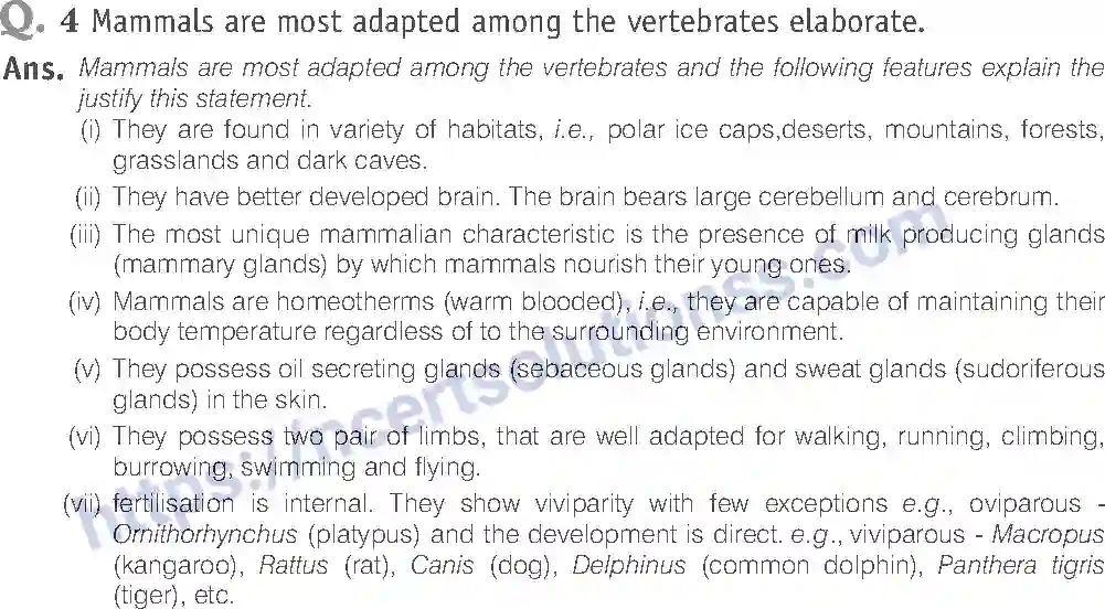NCERT-Exemplar-Solution-Class-11-Biology-Animal-Kingdom-80-page-19