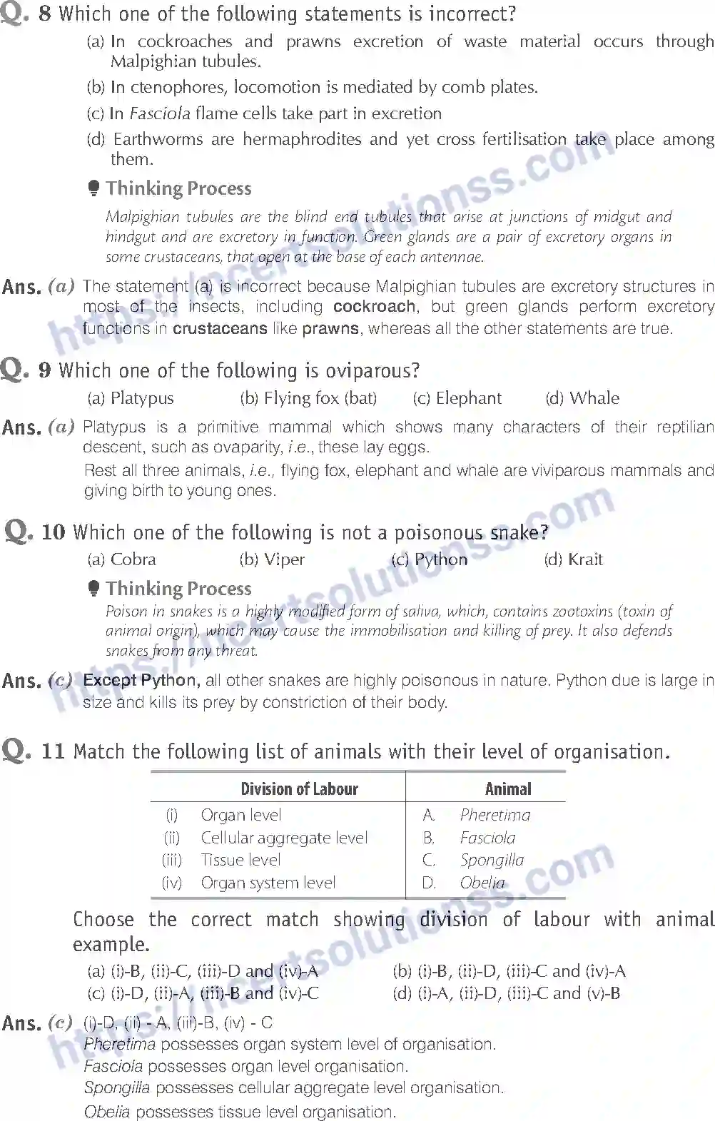 NCERT-Exemplar-Solution-Class-11-Biology-Animal-Kingdom-80-page-4