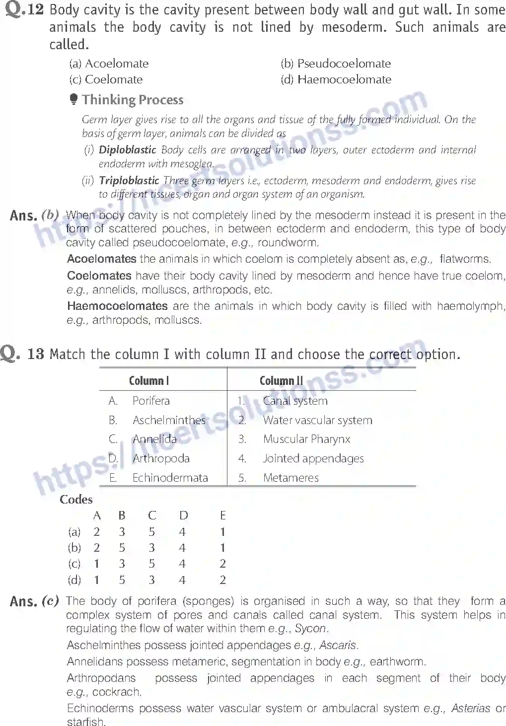 NCERT-Exemplar-Solution-Class-11-Biology-Animal-Kingdom-80-page-5