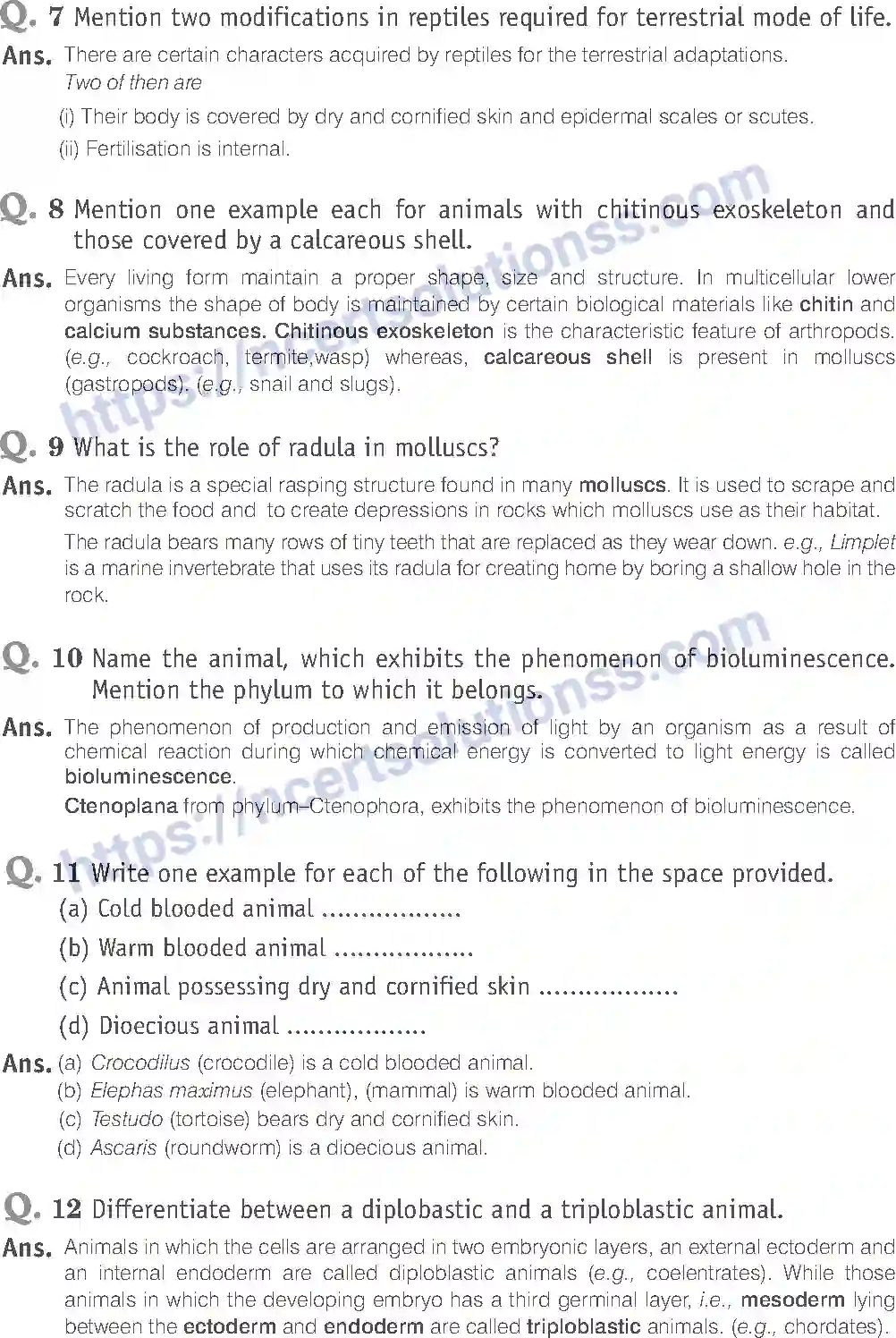 NCERT-Exemplar-Solution-Class-11-Biology-Animal-Kingdom-80-page-7