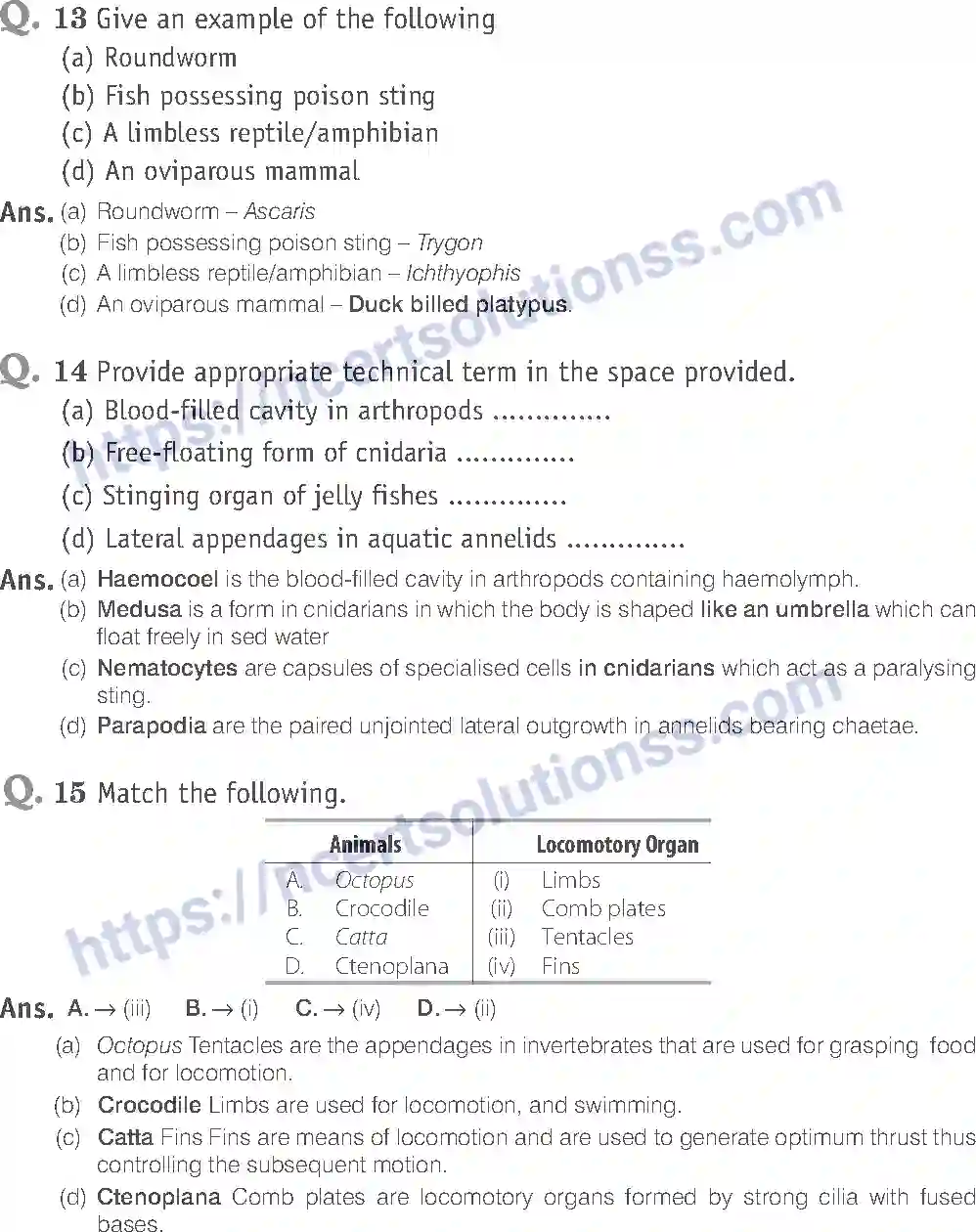 NCERT-Exemplar-Solution-Class-11-Biology-Animal-Kingdom-80-page-8