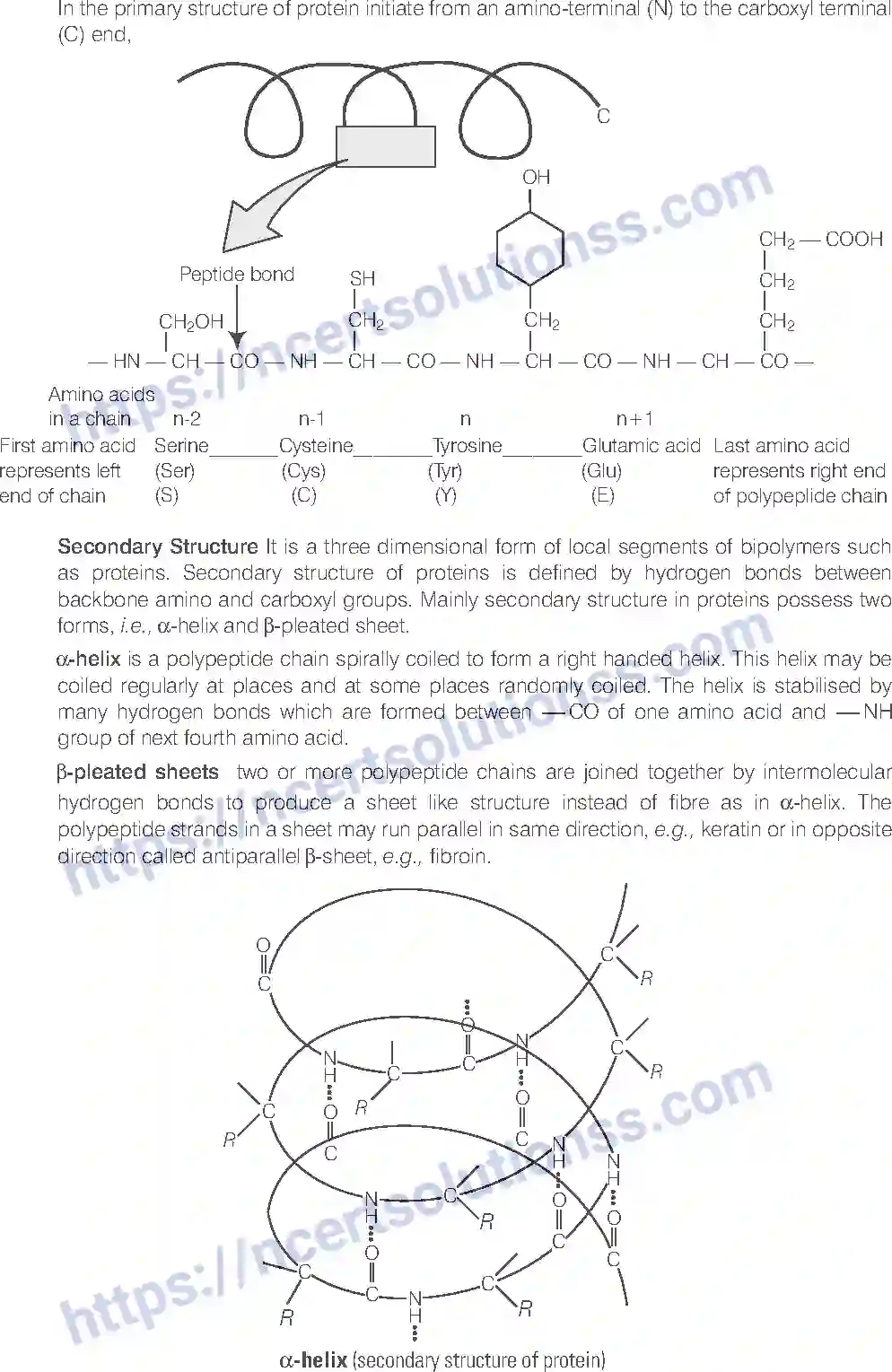 NCERT-Exemplar-Solution-Class-11-Biology-Biomolecules-85-page-10