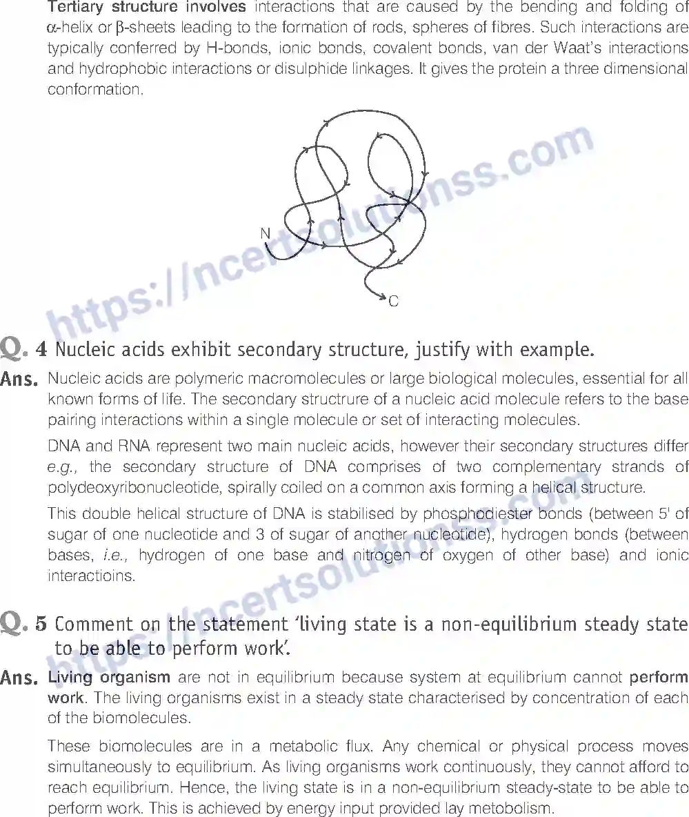 NCERT-Exemplar-Solution-Class-11-Biology-Biomolecules-85-page-11