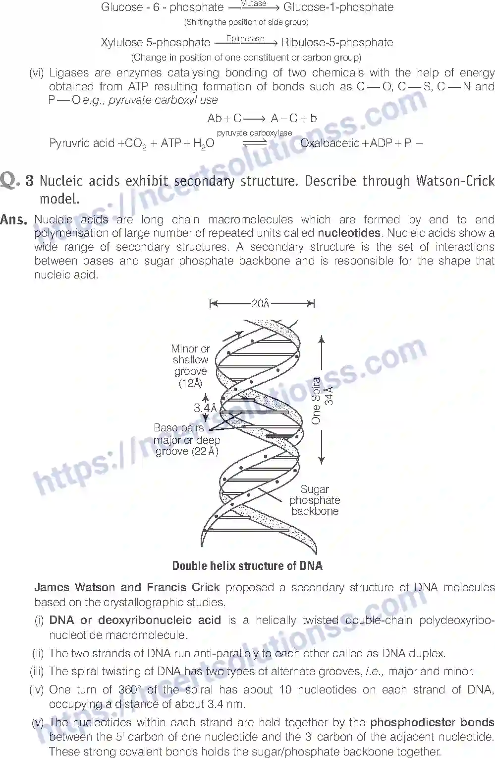 NCERT-Exemplar-Solution-Class-11-Biology-Biomolecules-85-page-13