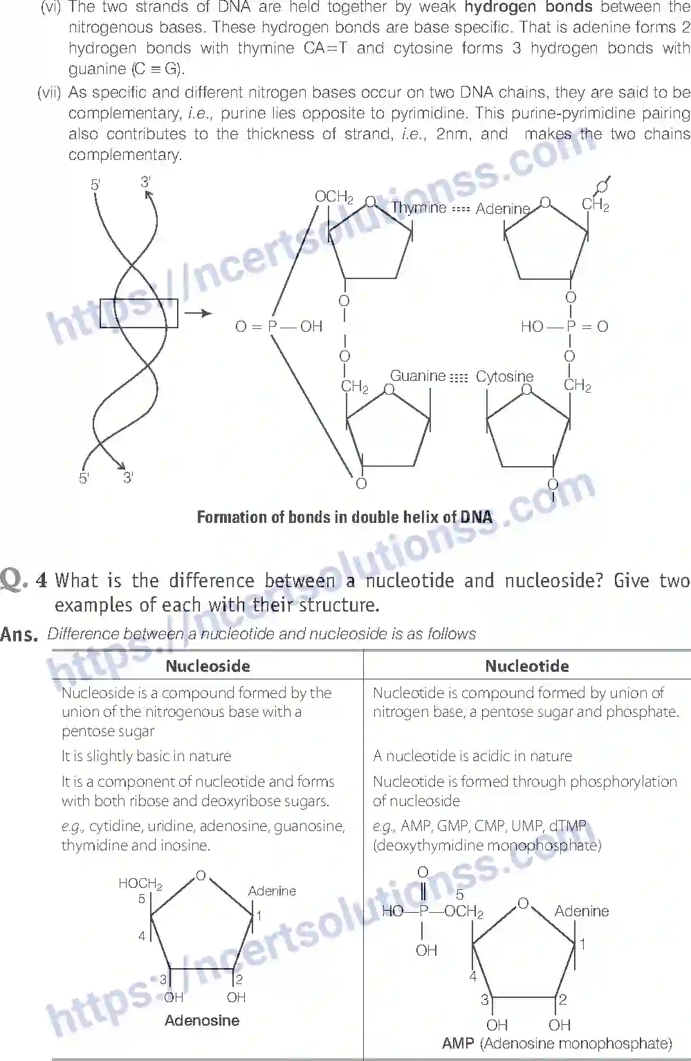 NCERT-Exemplar-Solution-Class-11-Biology-Biomolecules-85-page-14