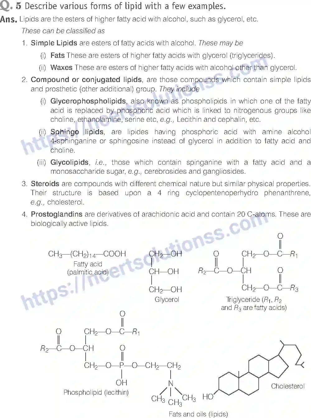 NCERT-Exemplar-Solution-Class-11-Biology-Biomolecules-85-page-15