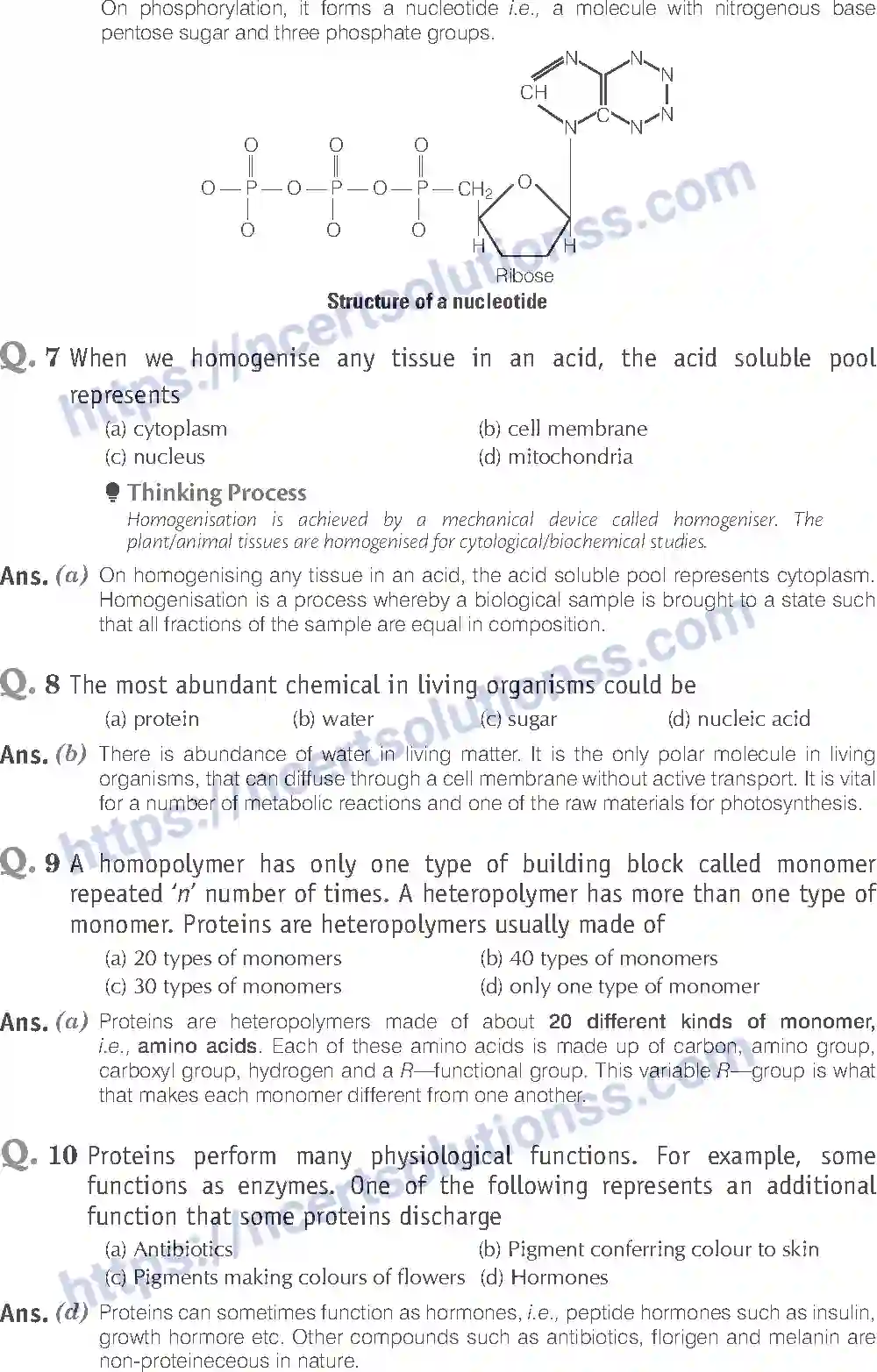 NCERT-Exemplar-Solution-Class-11-Biology-Biomolecules-85-page-4
