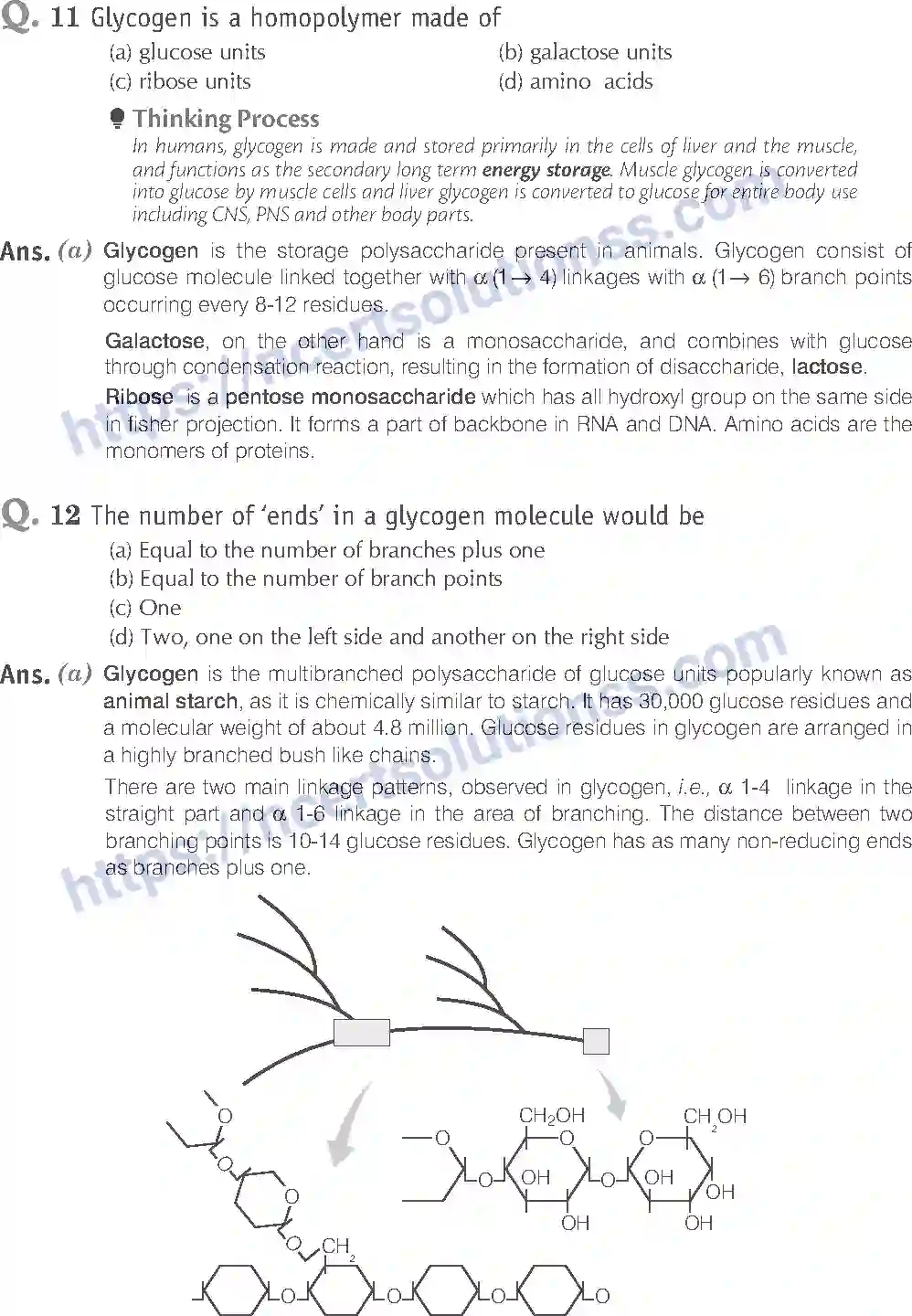 NCERT-Exemplar-Solution-Class-11-Biology-Biomolecules-85-page-5
