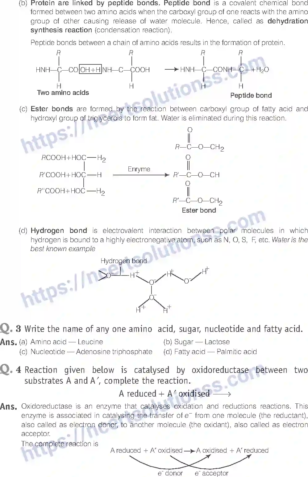 NCERT-Exemplar-Solution-Class-11-Biology-Biomolecules-85-page-7