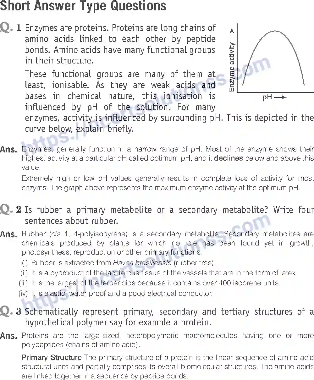 NCERT-Exemplar-Solution-Class-11-Biology-Biomolecules-85-page-9