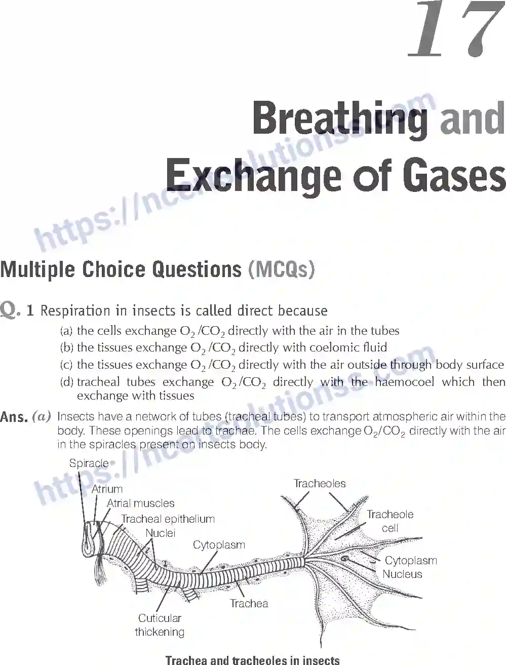 NCERT-Exemplar-Solution-Class-11-Biology-Breathing-And-Exchange-of-Gases-93-page-1