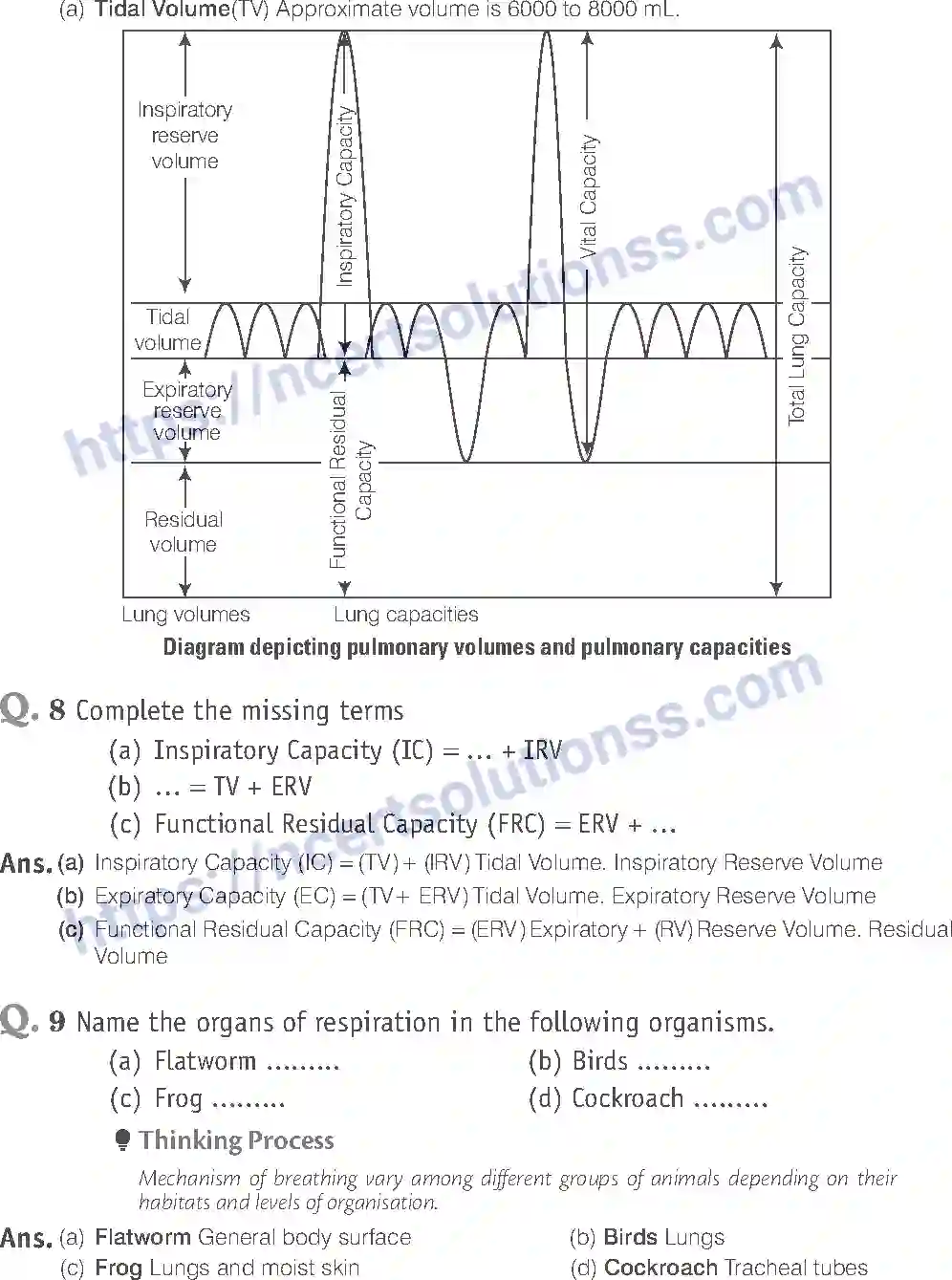NCERT-Exemplar-Solution-Class-11-Biology-Breathing-And-Exchange-of-Gases-93-page-10