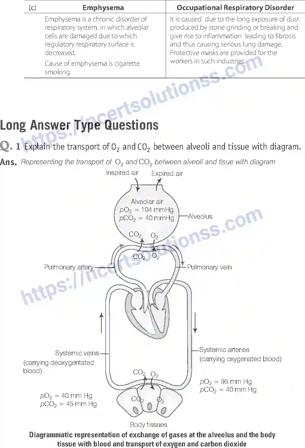 NCERT-Exemplar-Solution-Class-11-Biology-Breathing-And-Exchange-of-Gases-93-page-13