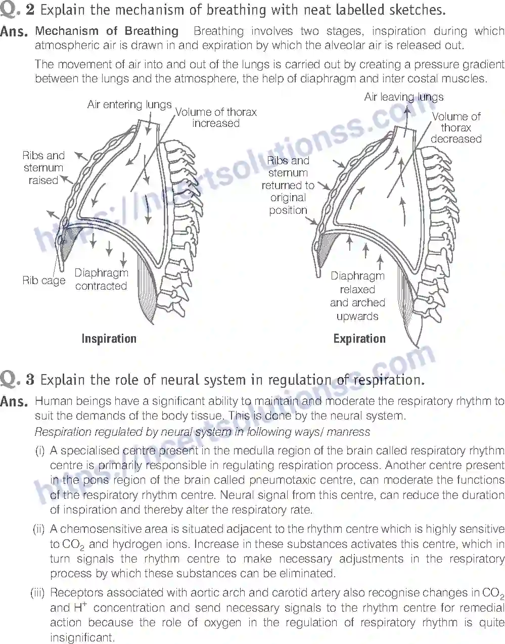 NCERT-Exemplar-Solution-Class-11-Biology-Breathing-And-Exchange-of-Gases-93-page-14