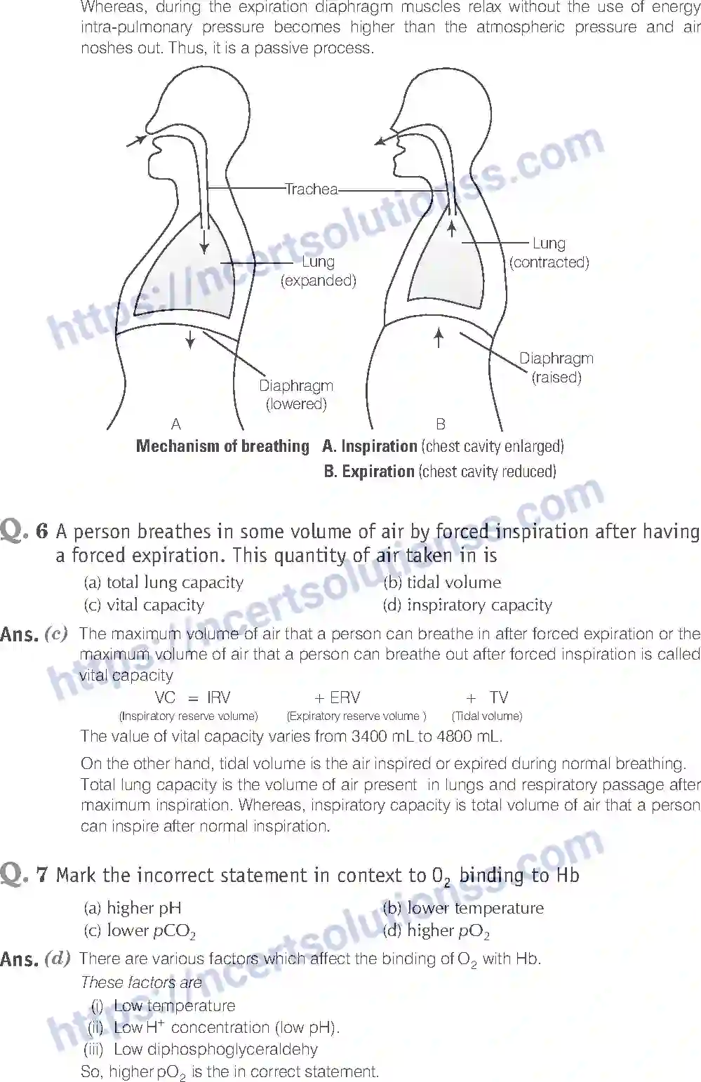 NCERT-Exemplar-Solution-Class-11-Biology-Breathing-And-Exchange-of-Gases-93-page-3