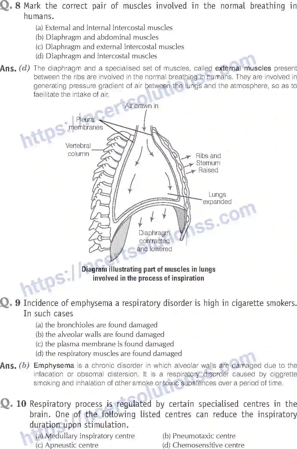 NCERT-Exemplar-Solution-Class-11-Biology-Breathing-And-Exchange-of-Gases-93-page-4