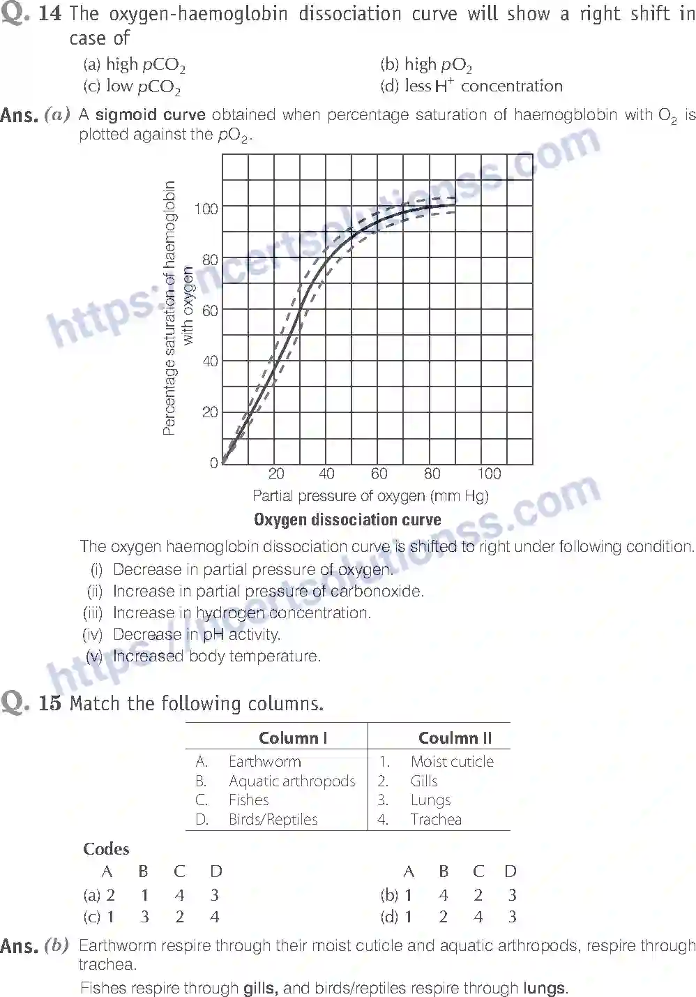 NCERT-Exemplar-Solution-Class-11-Biology-Breathing-And-Exchange-of-Gases-93-page-7