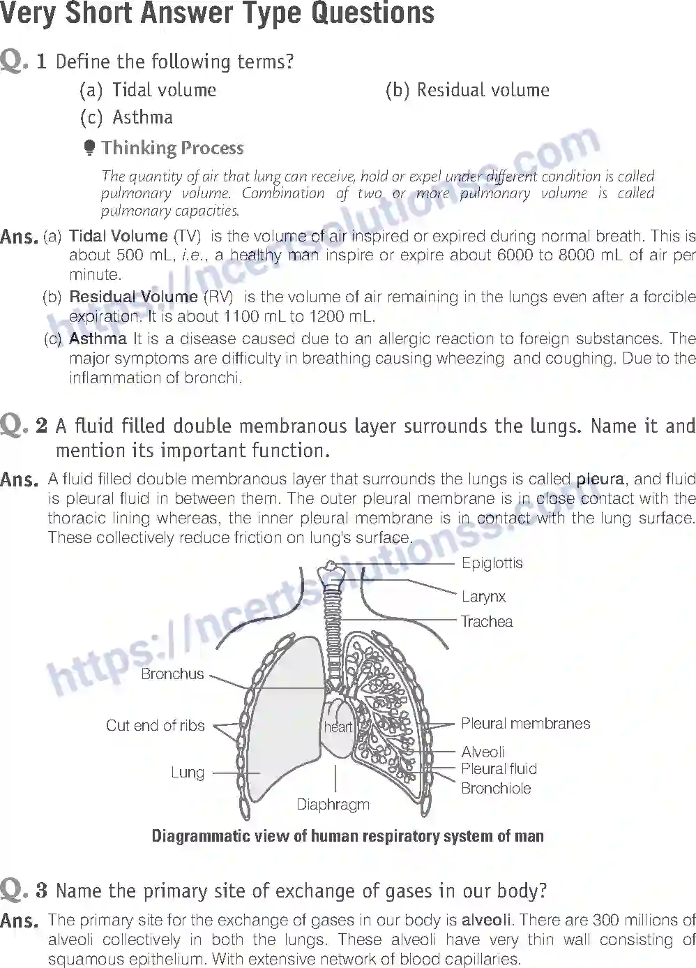 NCERT-Exemplar-Solution-Class-11-Biology-Breathing-And-Exchange-of-Gases-93-page-8
